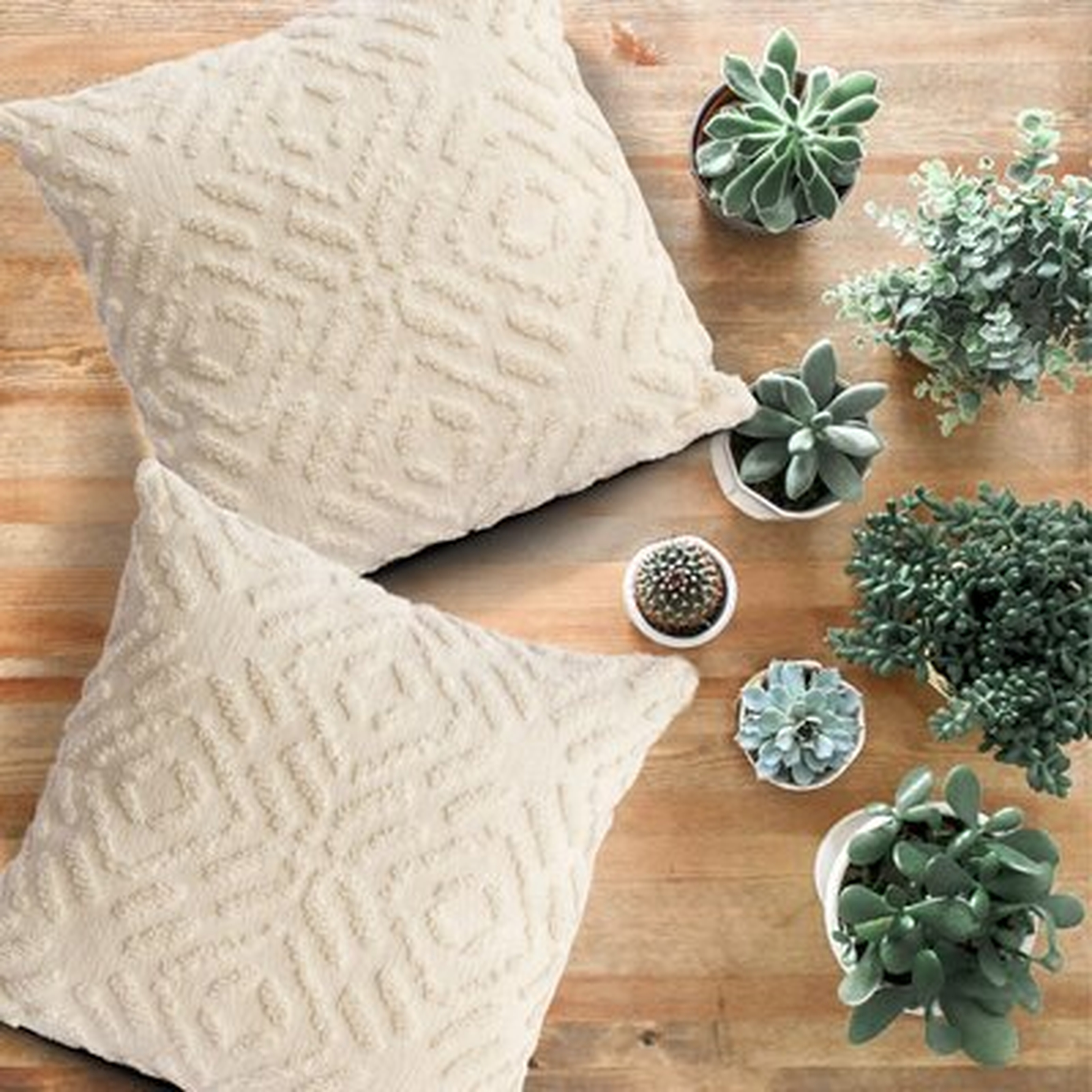 Square 100% Cotton Pillow Cover and Insert - Wayfair