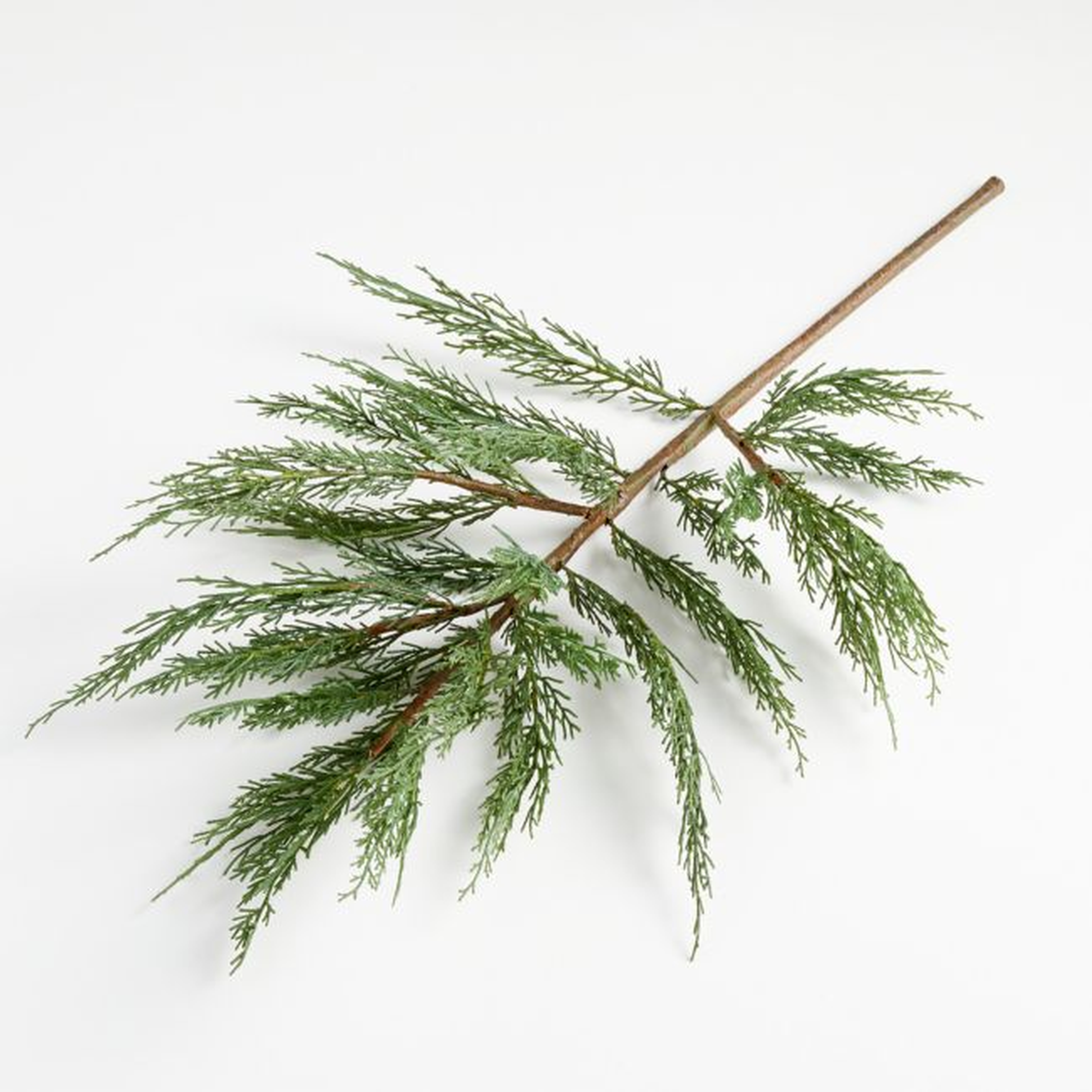 Faux Cypress Stem 29.9" - Crate and Barrel