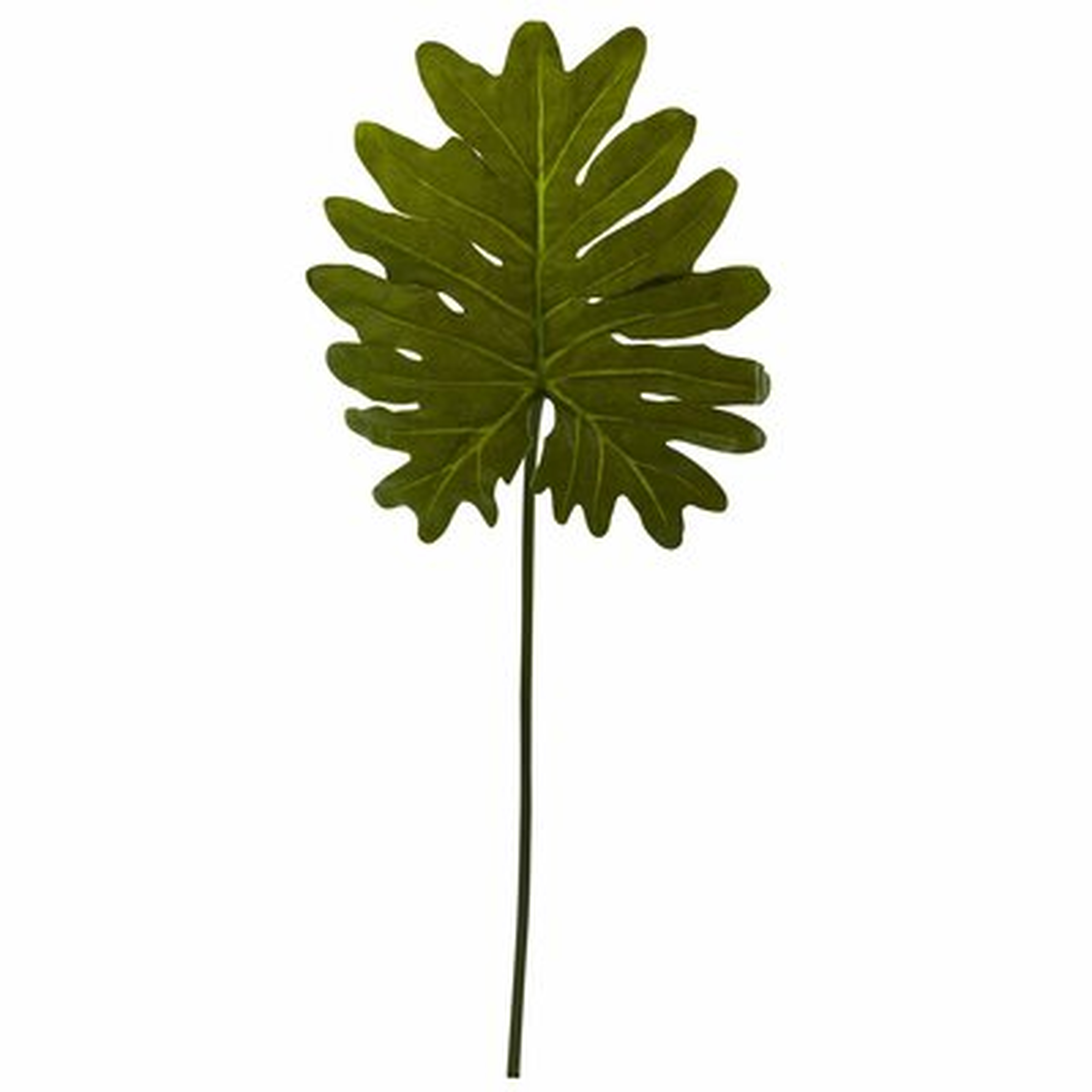 Selloum Philo Single Leaf Stem Branch - Wayfair