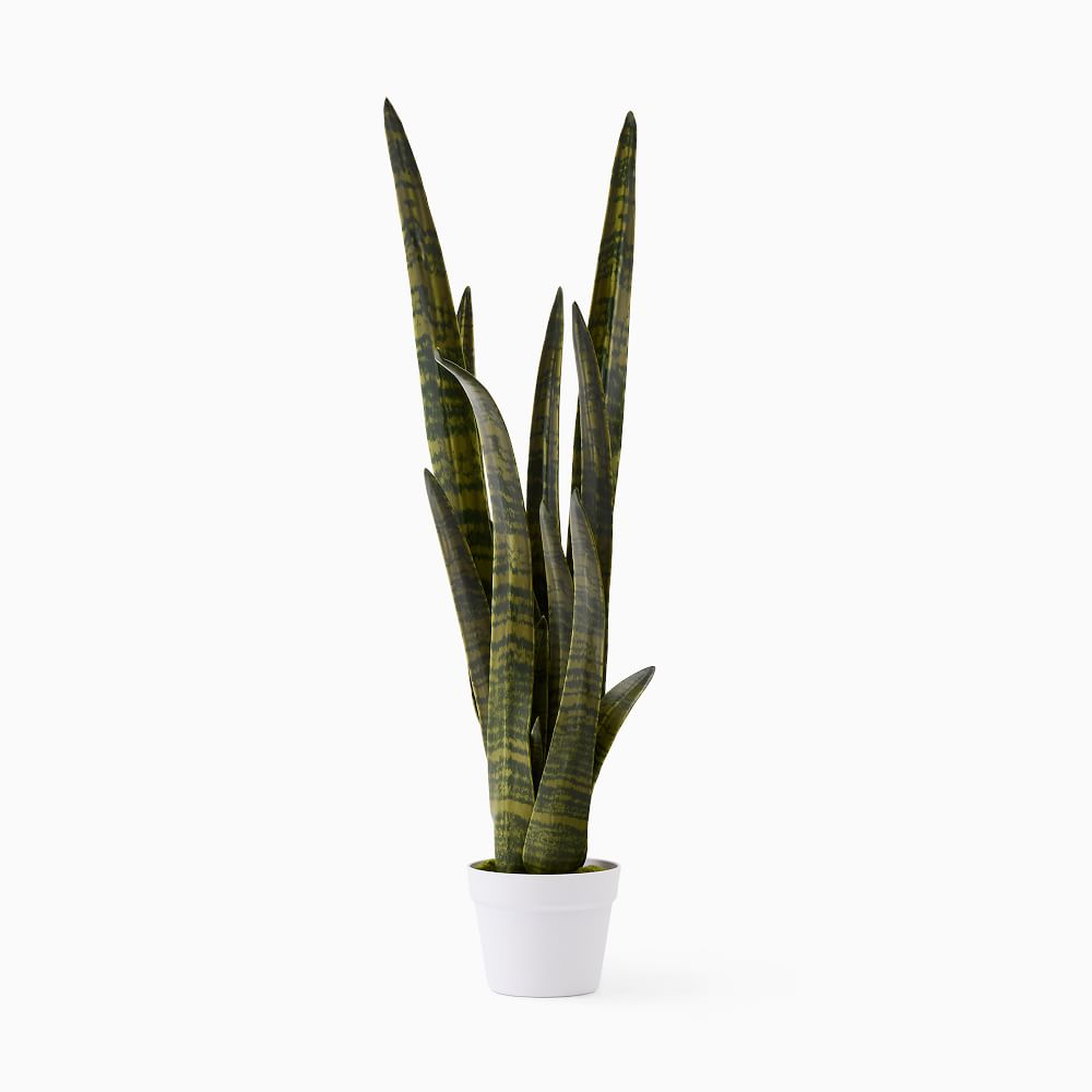 Faux Potted Snake Plant - West Elm