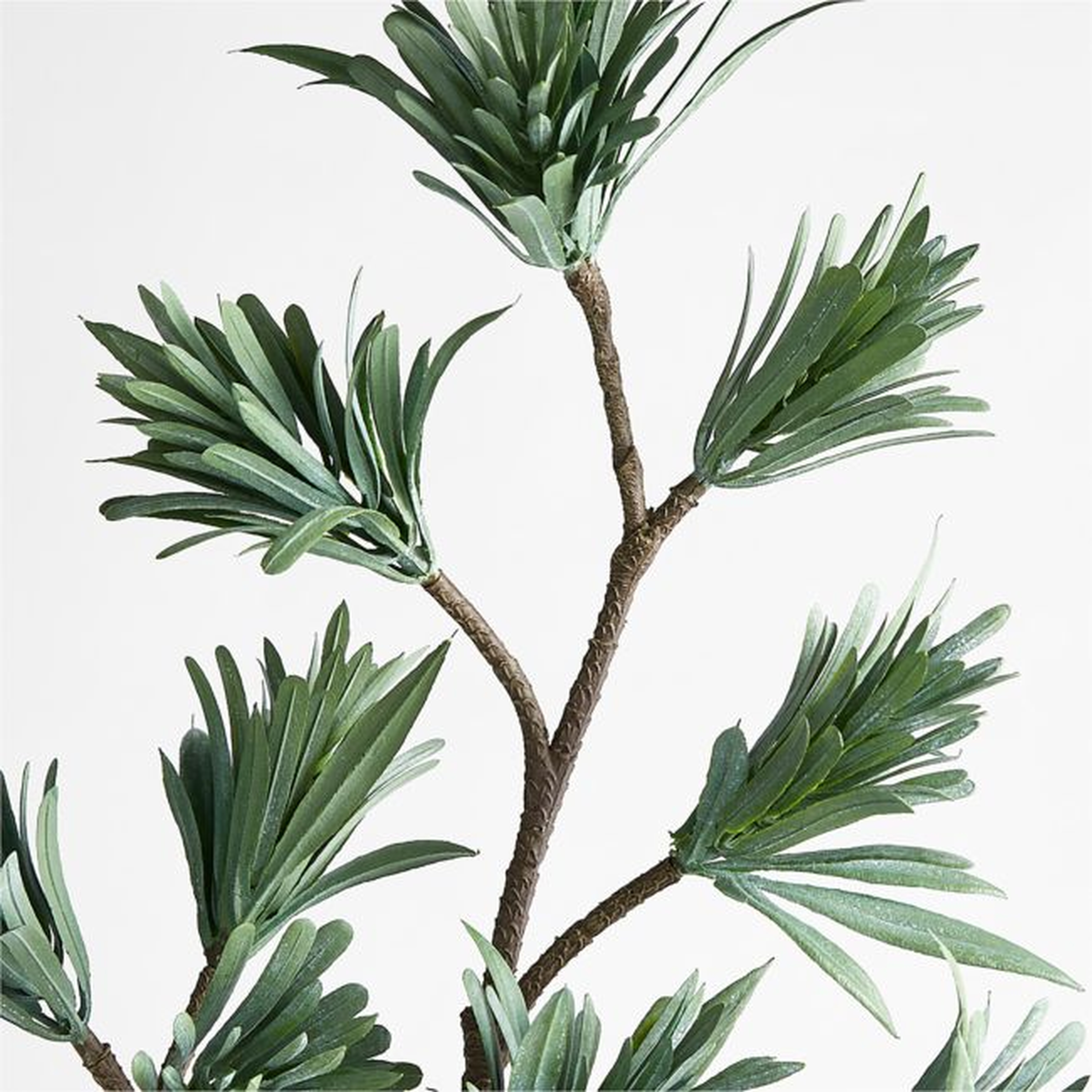 Japanese Black Pine Faux Stem - Crate and Barrel