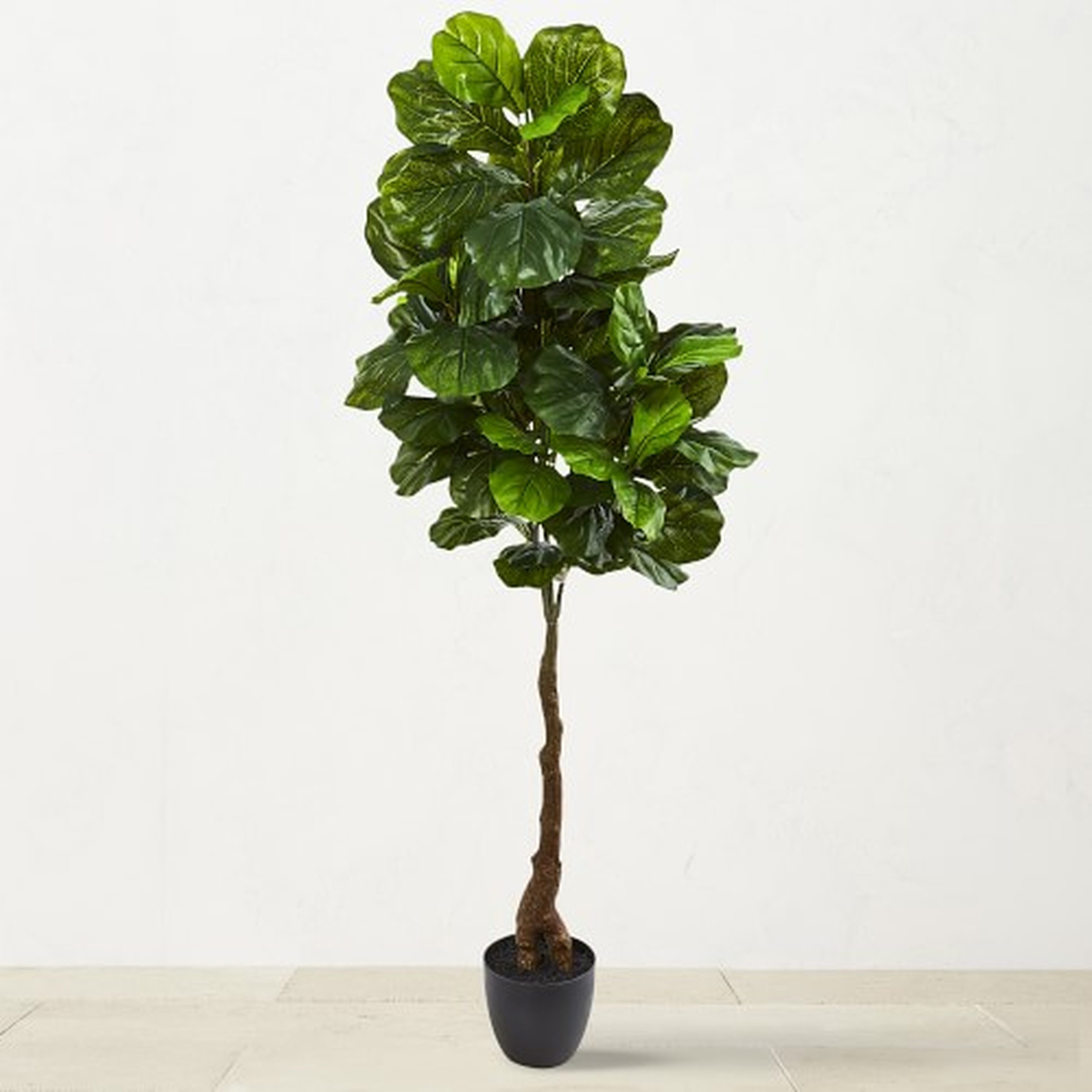 5.3' Faux Indoor Real Touch Fiddle Leaf Tree - Williams Sonoma