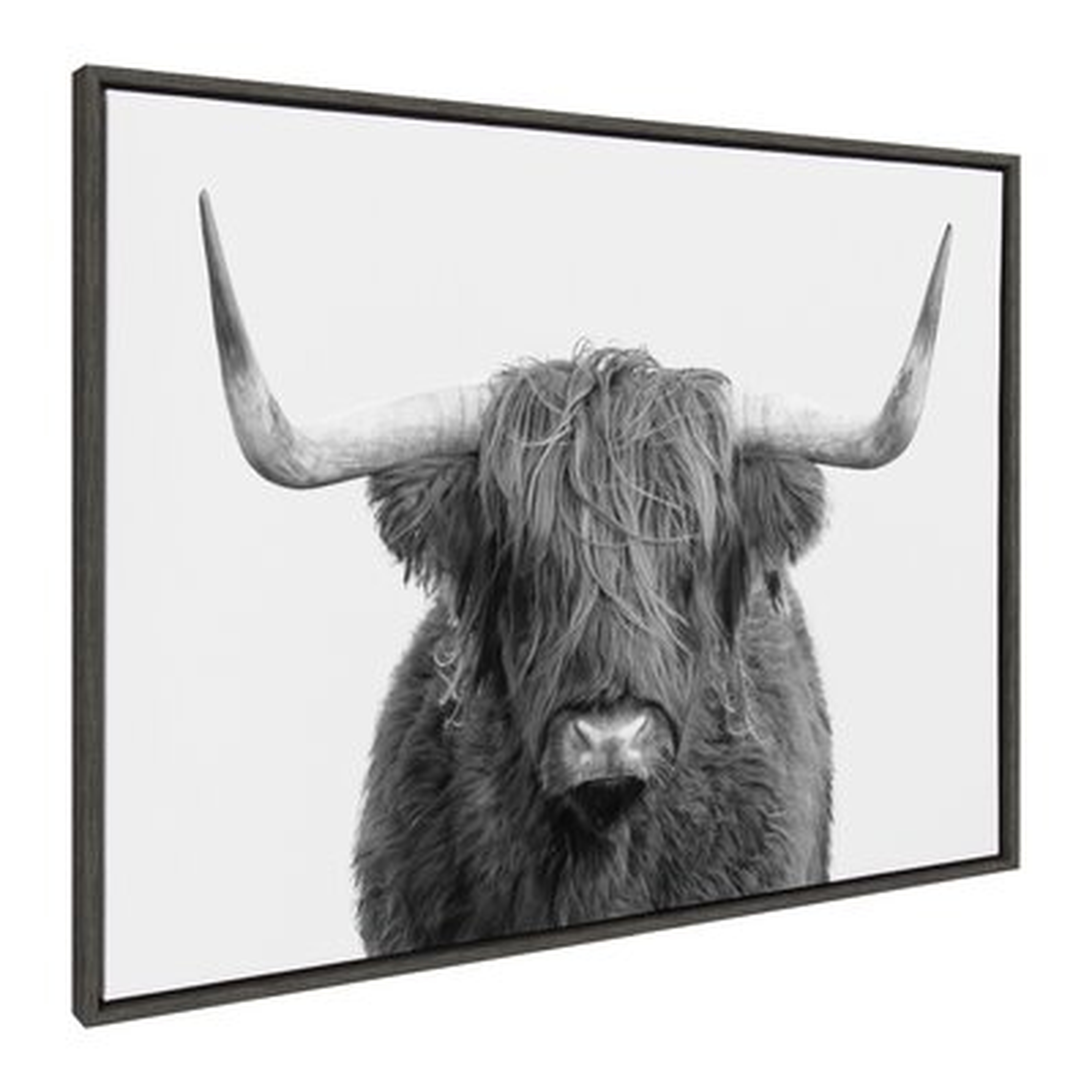 'B&W Highland Cow No. 1' by Amy Peterson- Floater Frame Photograph Print on Canvas - Wayfair