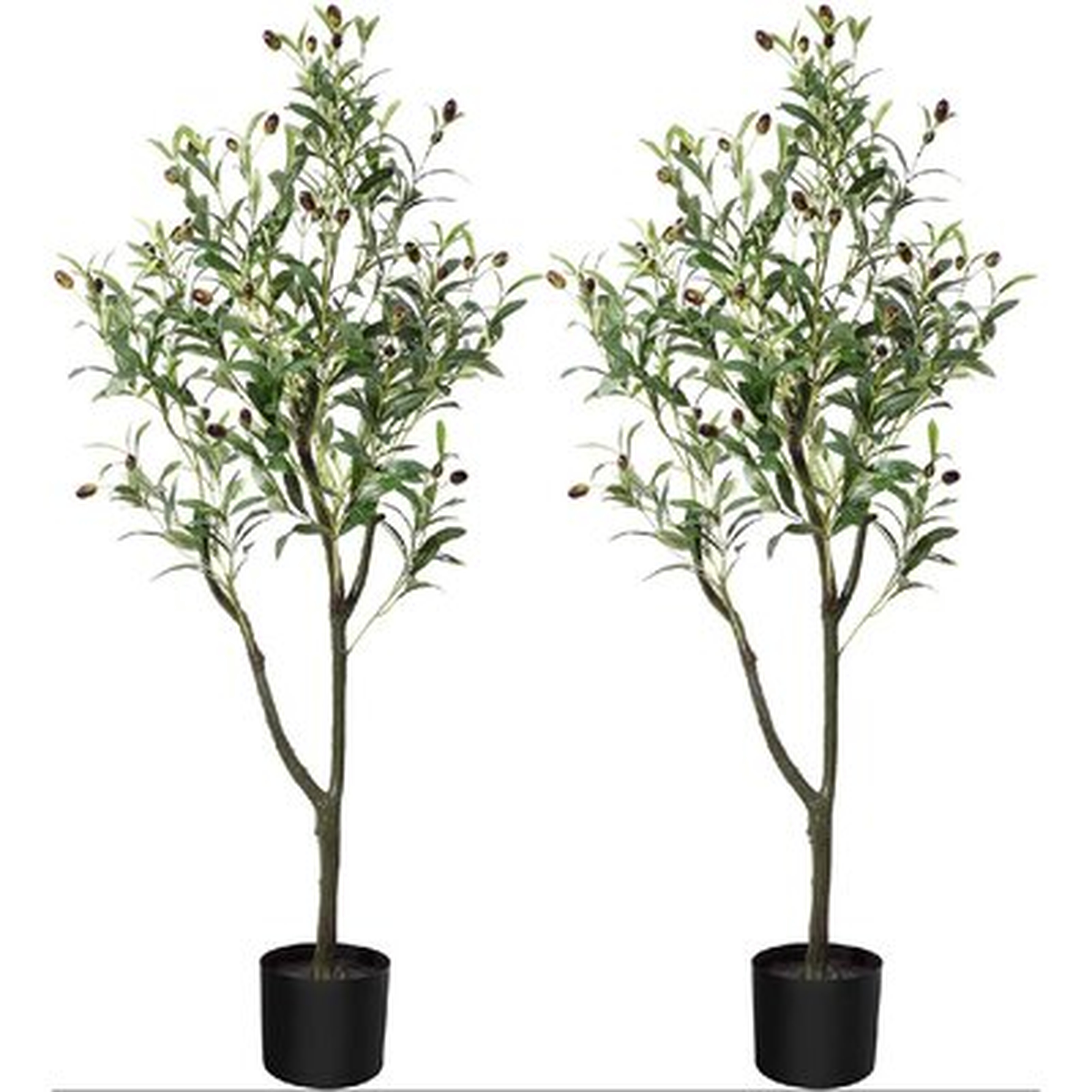Artificial olive plant - Wayfair