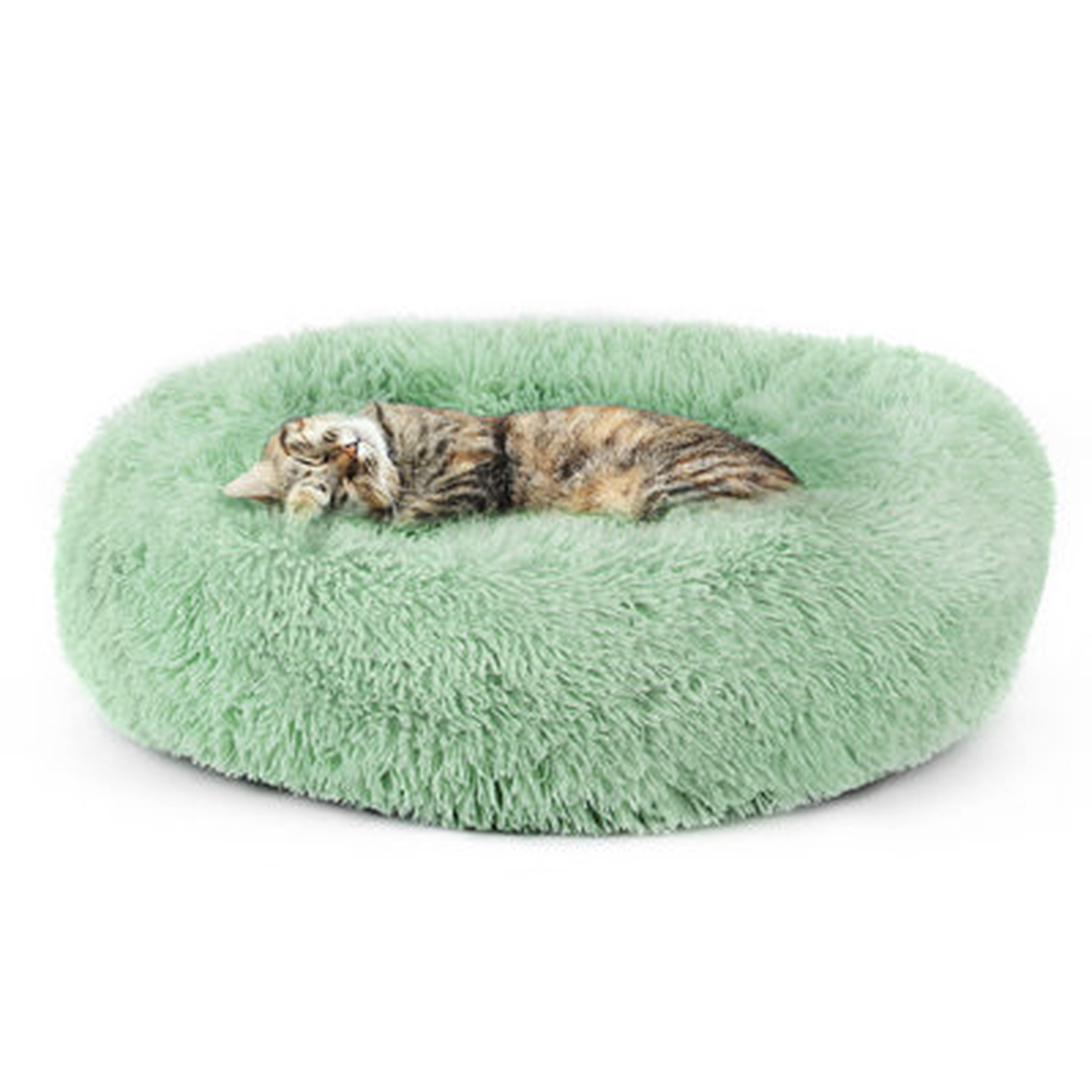 Donut Shape  Pet Dog Cat Bed Yellowish Green - Wayfair