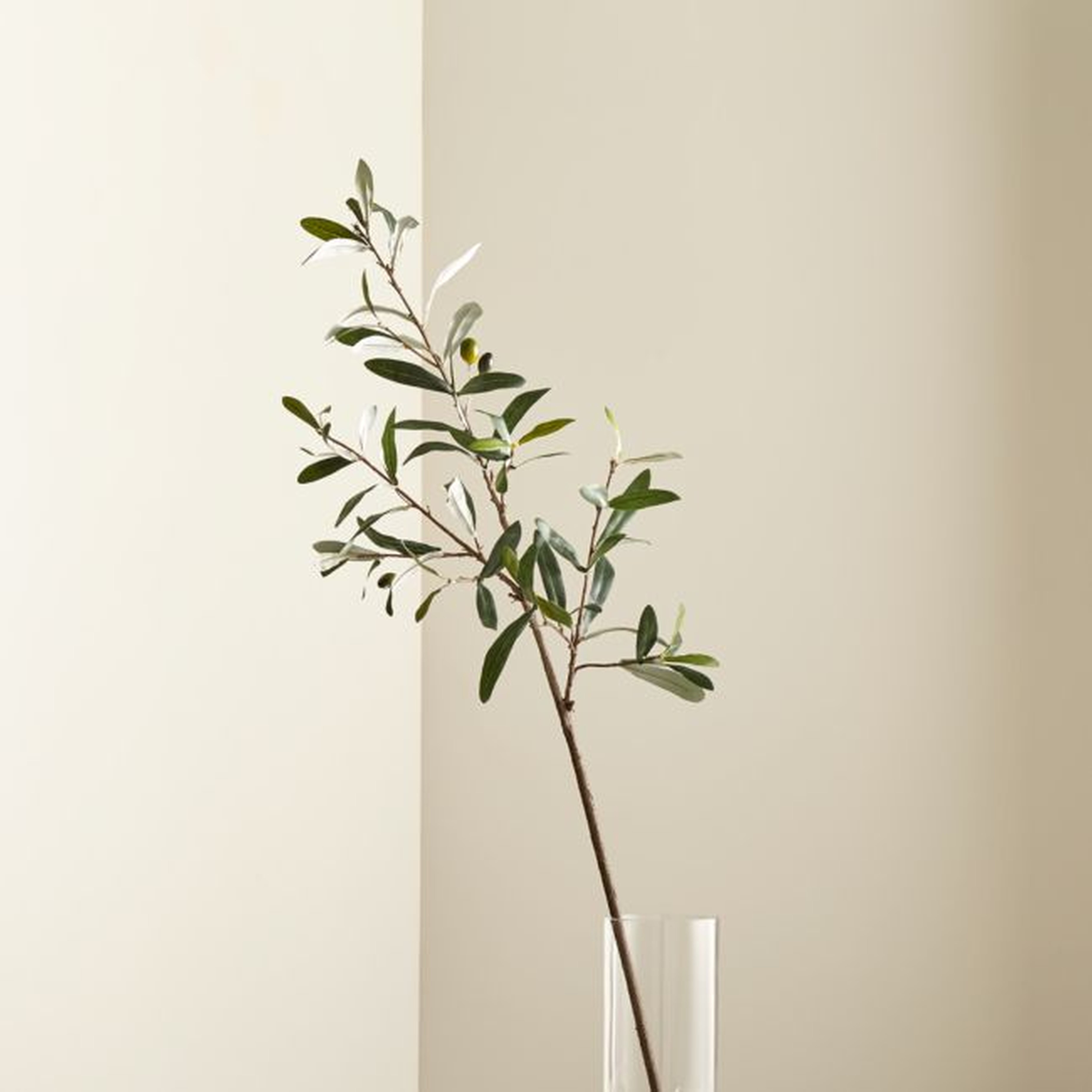 Faux Olive Stem 36" - Crate and Barrel