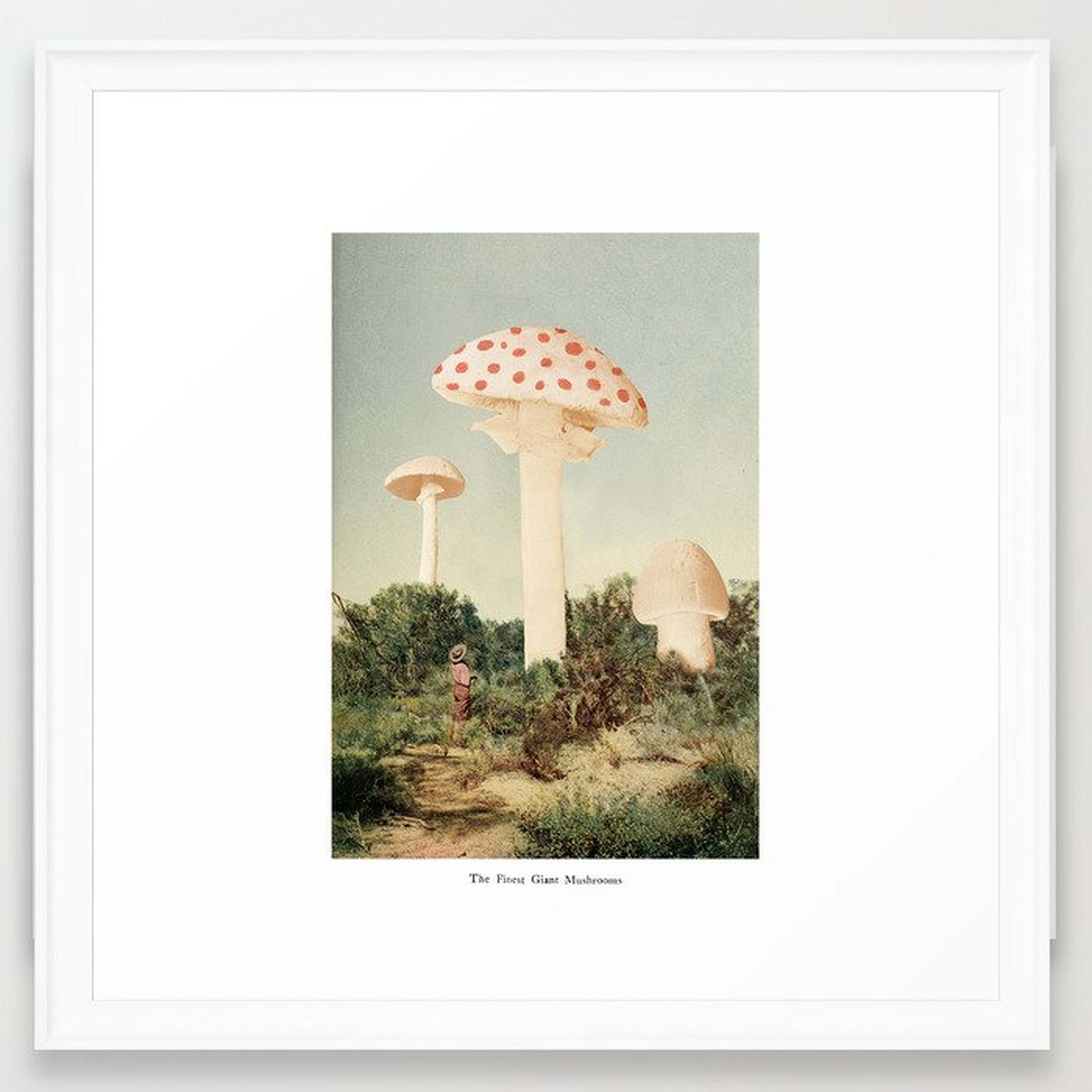 The Finest Giant Mushrooms Framed Art Print by Florent Bodart / Speakerine - Scoop White - MEDIUM (Gallery)-22x22 - Society6