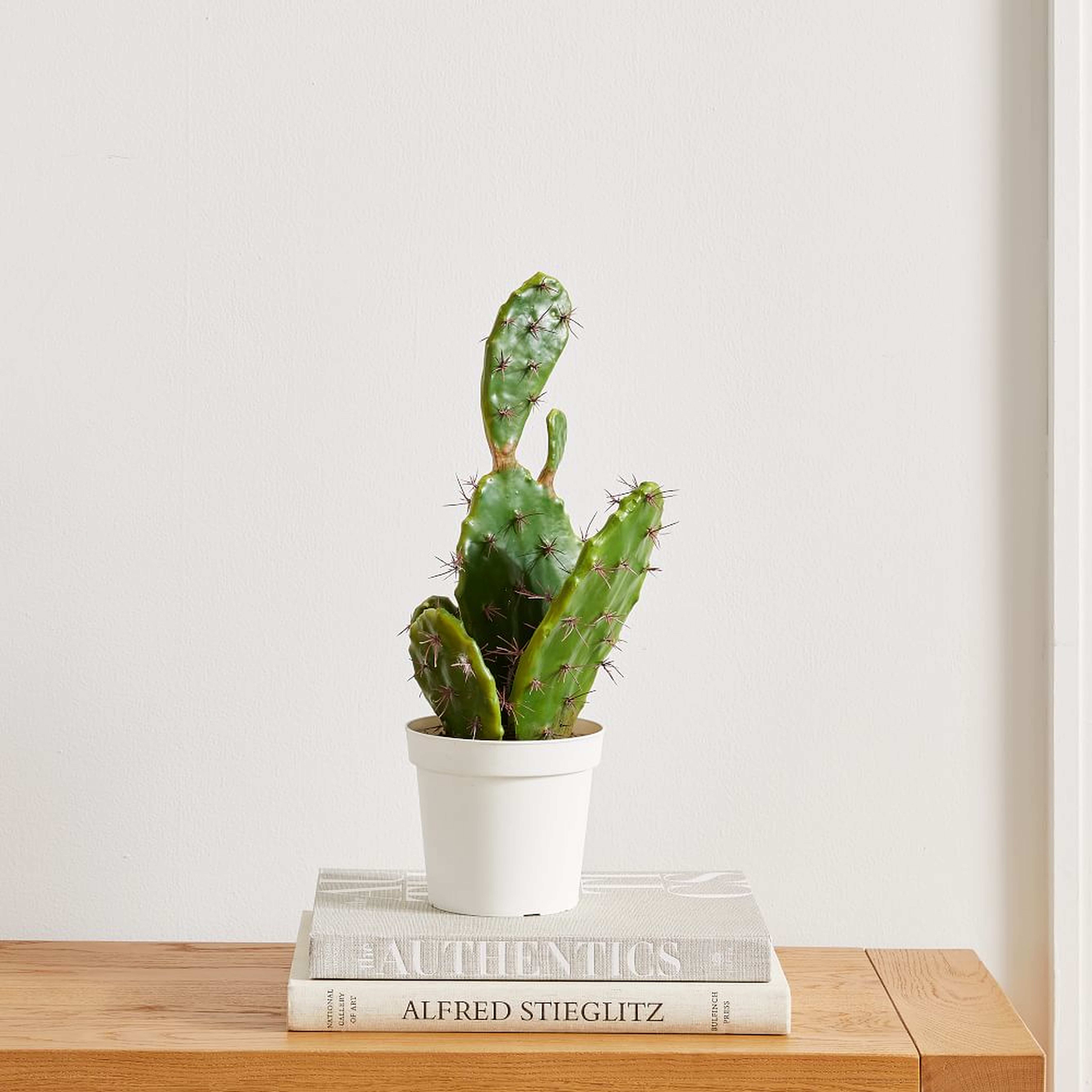 Faux Potted Flat Cactus, 19in - West Elm