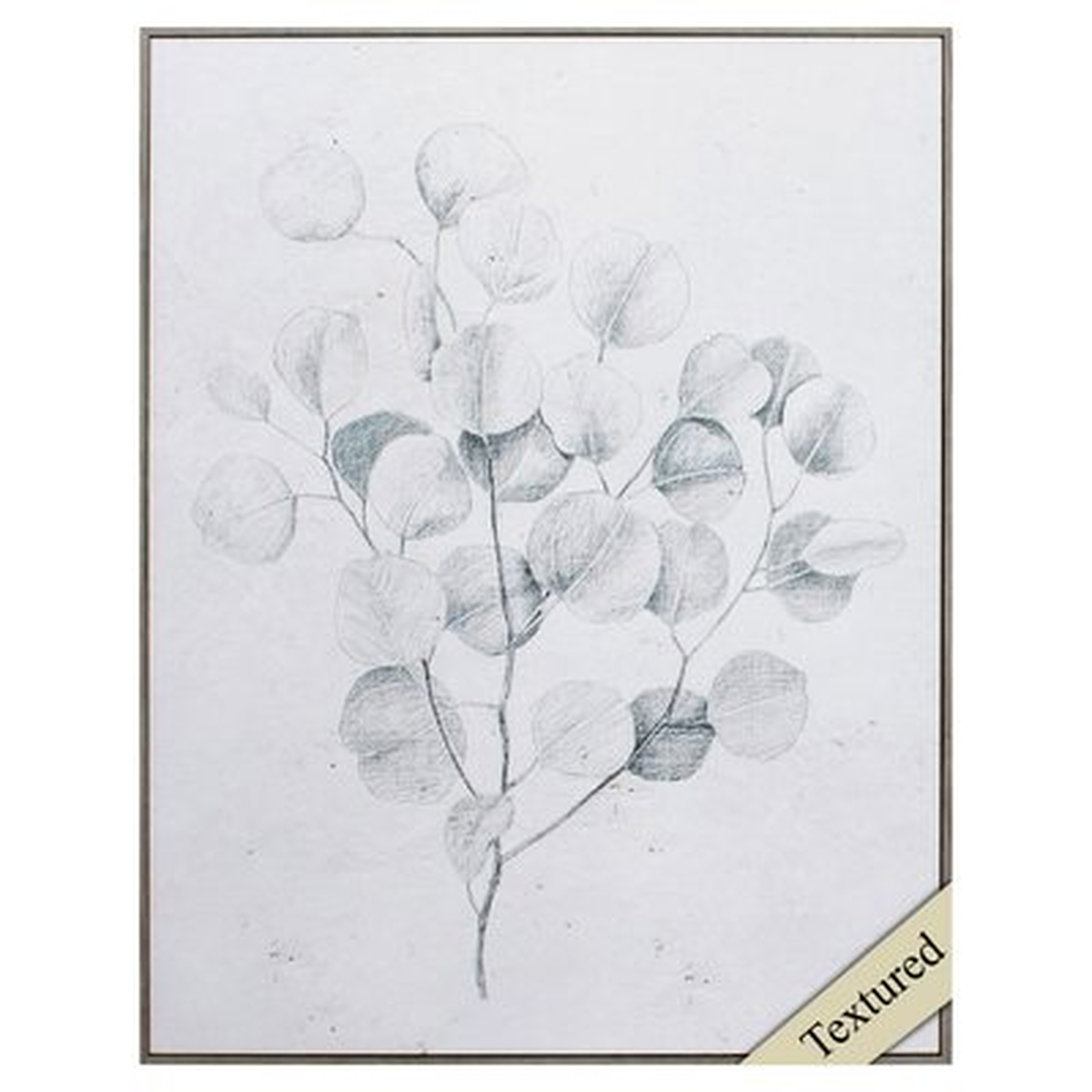 BOTANICAL SKETCHES IV - Picture Frame Print - Wayfair