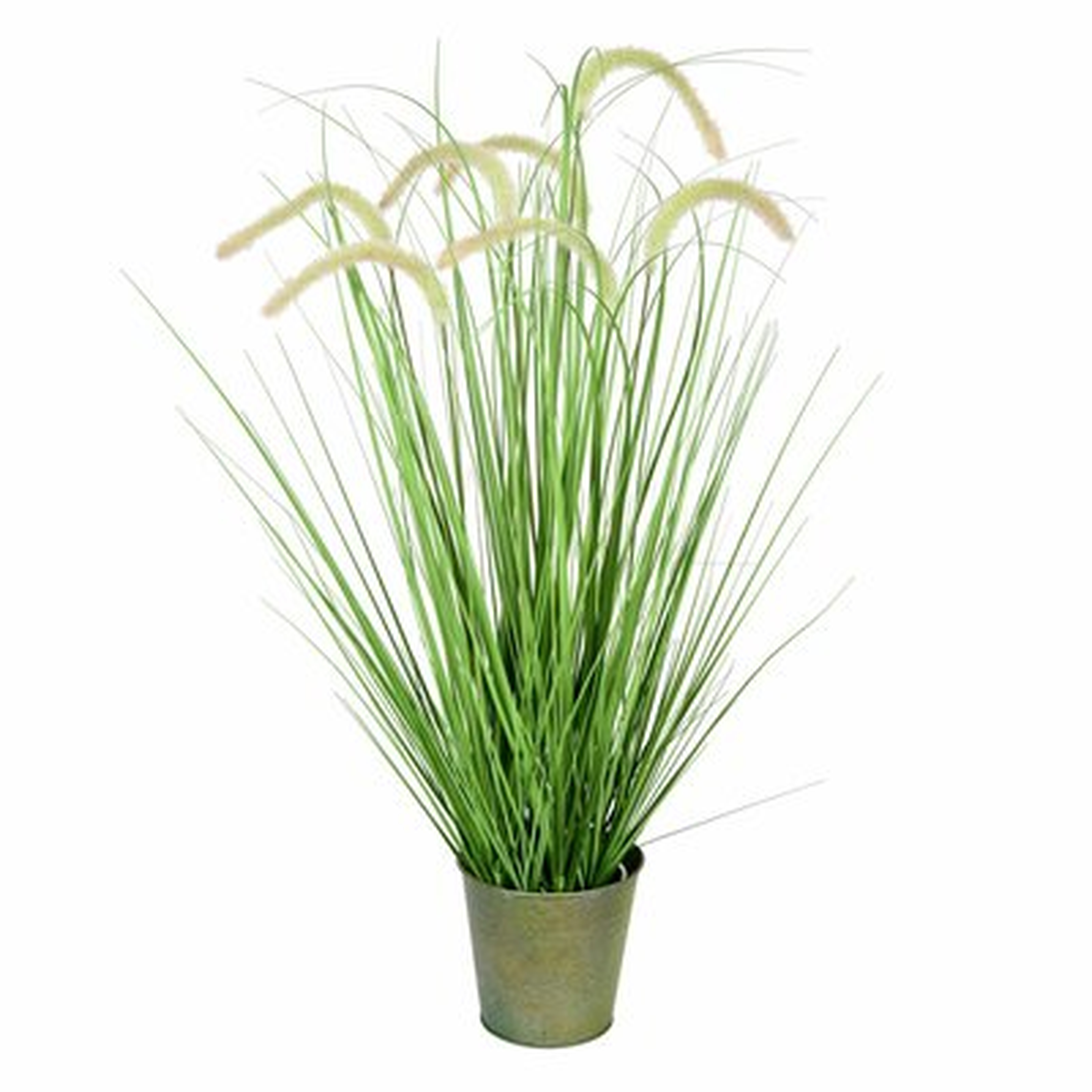 Artificial Cattail Grass in Pot - Wayfair