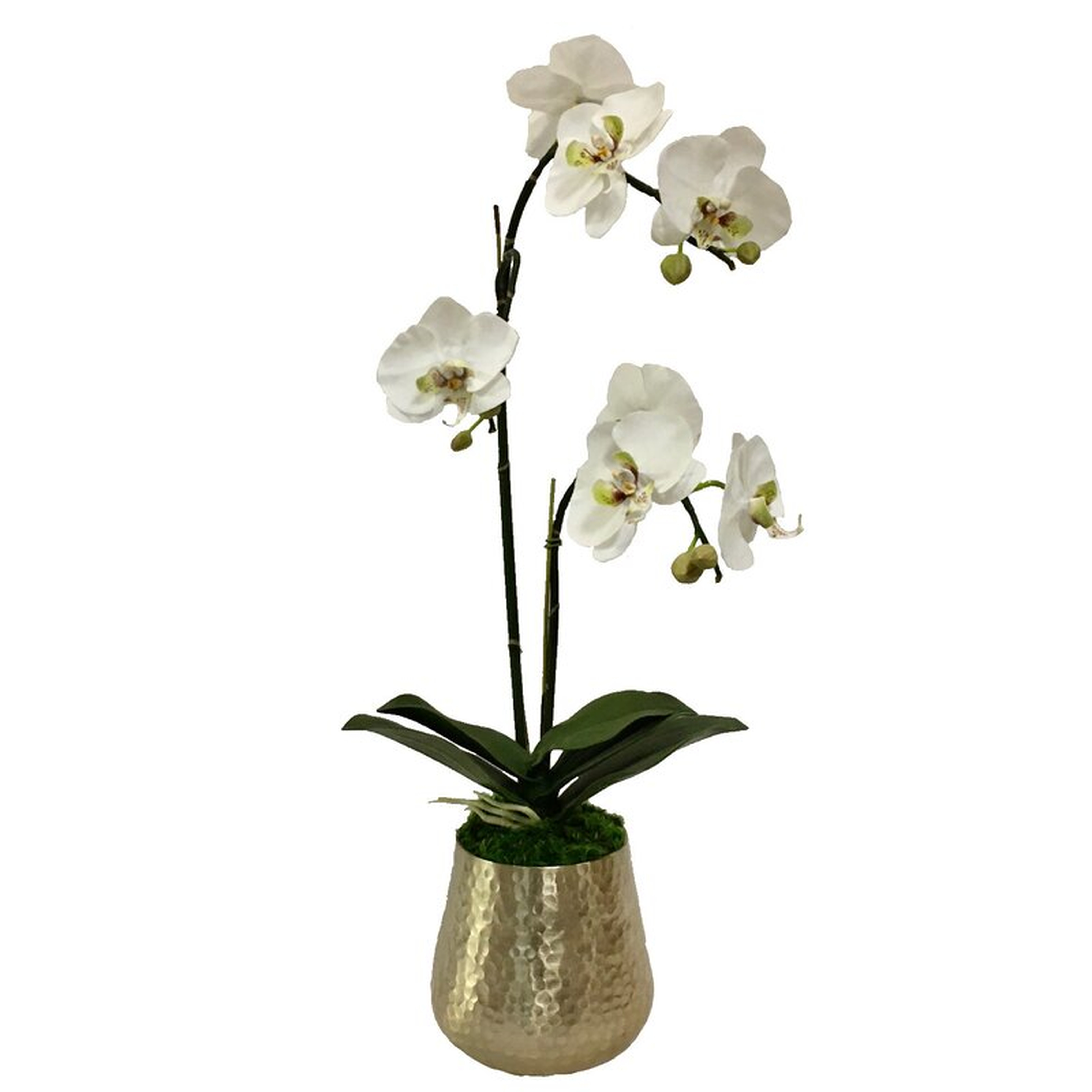 Gold Metal Hammered Vase Large - White & Purple Double Orchid Artificial - Perigold