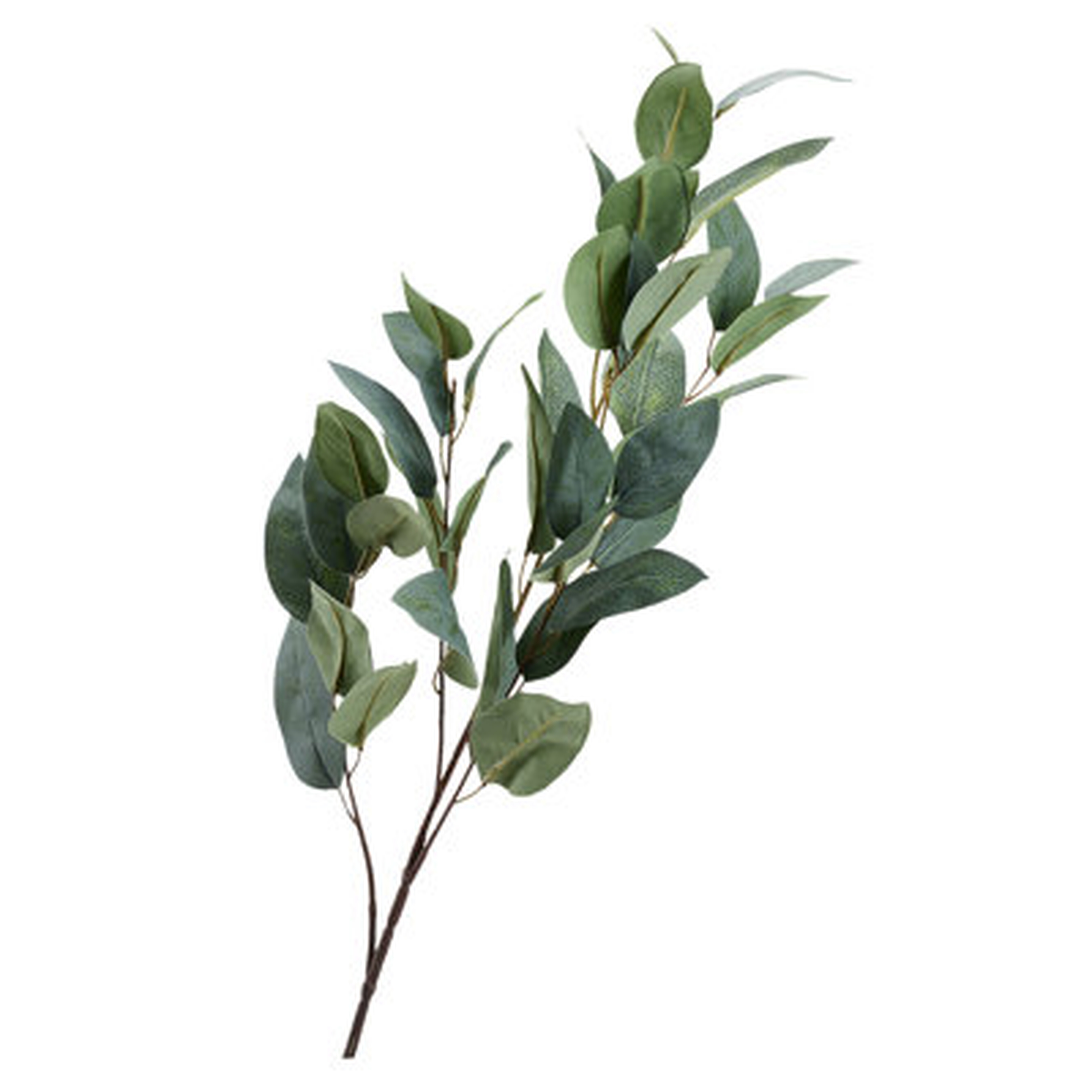 38" Artificial Eucalyptus Branch (Set of 3) - Wayfair