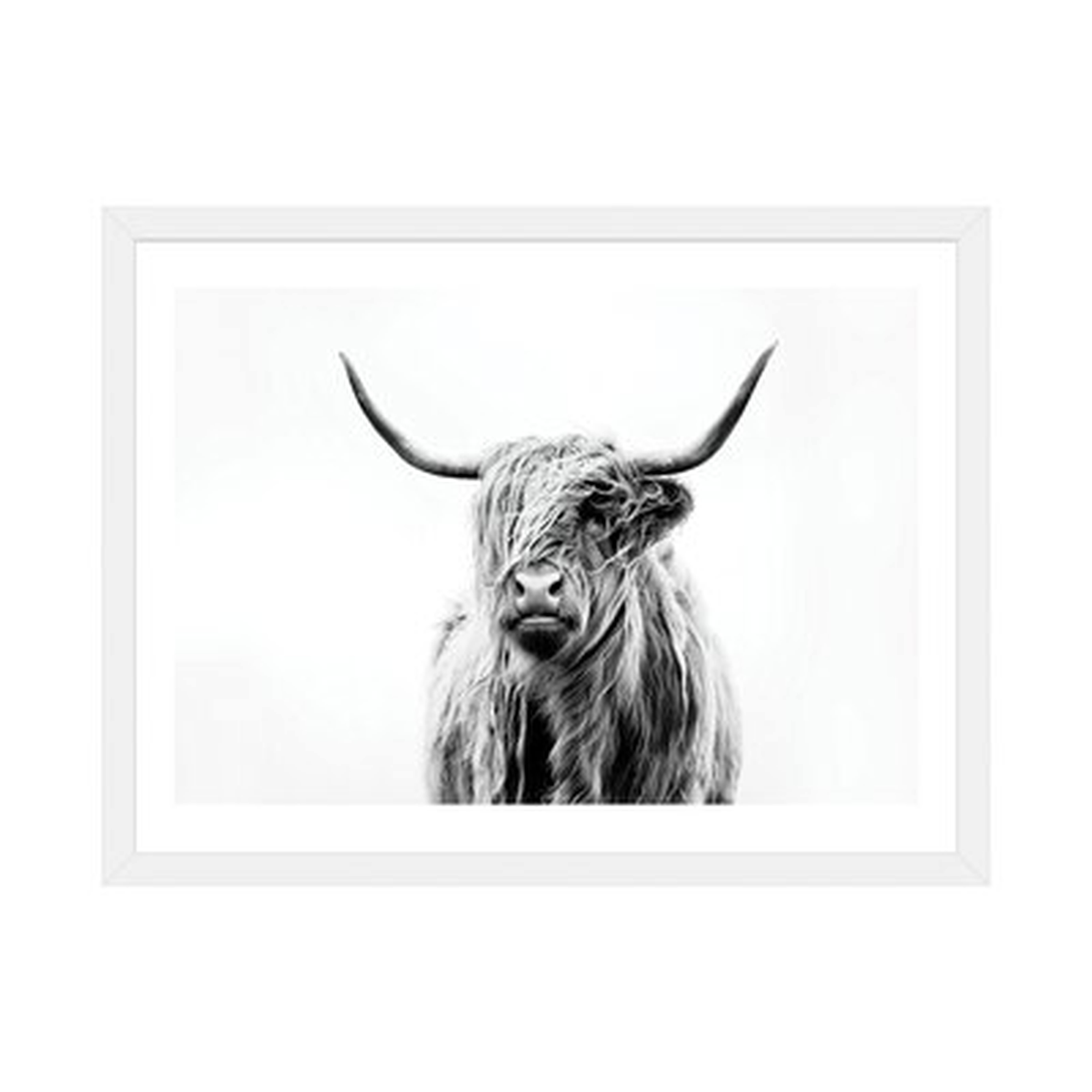 Portrait of a Highland Cow' - Photograph Print - Wayfair