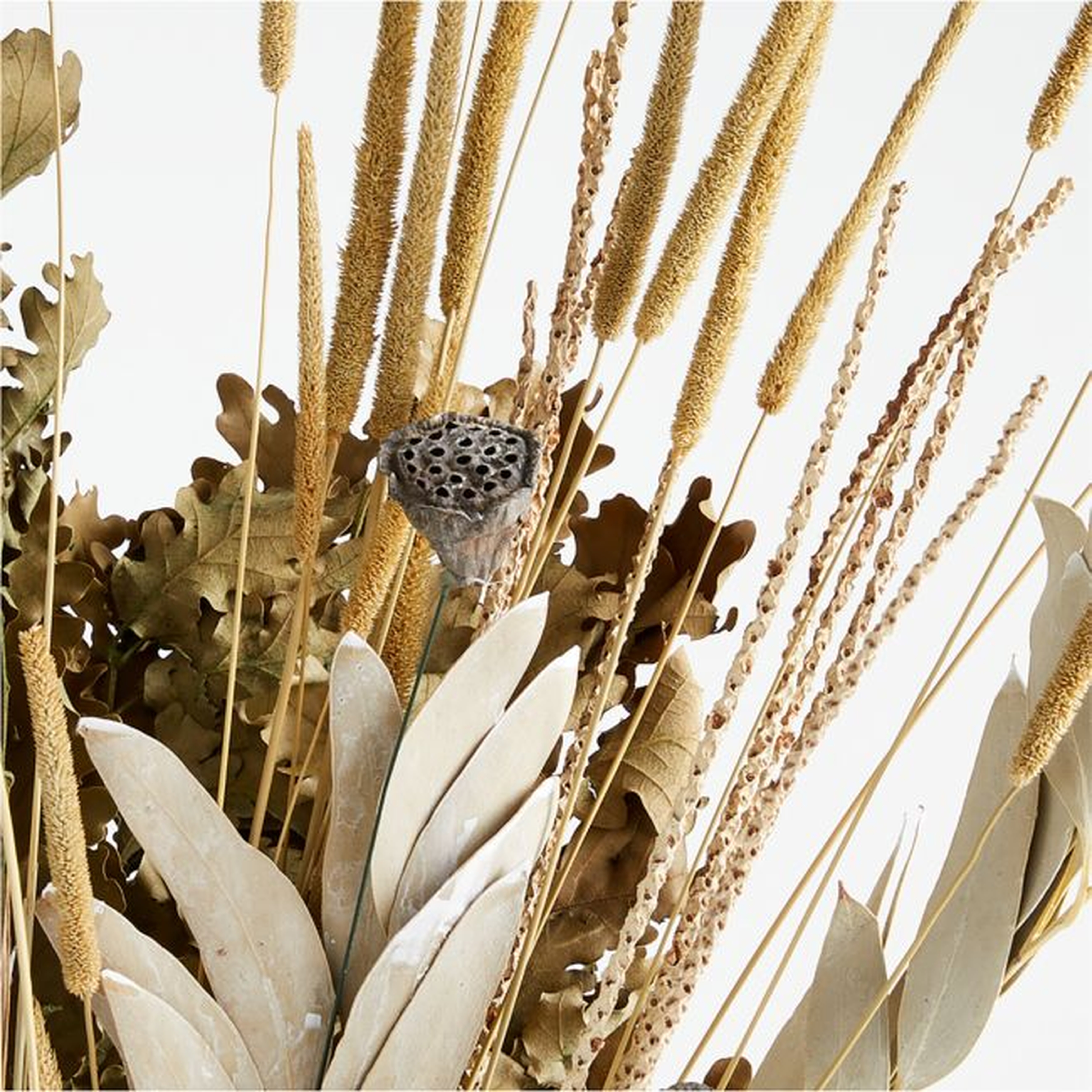 Wheat and Acai Grass Dried Bouquet 30" - Crate and Barrel