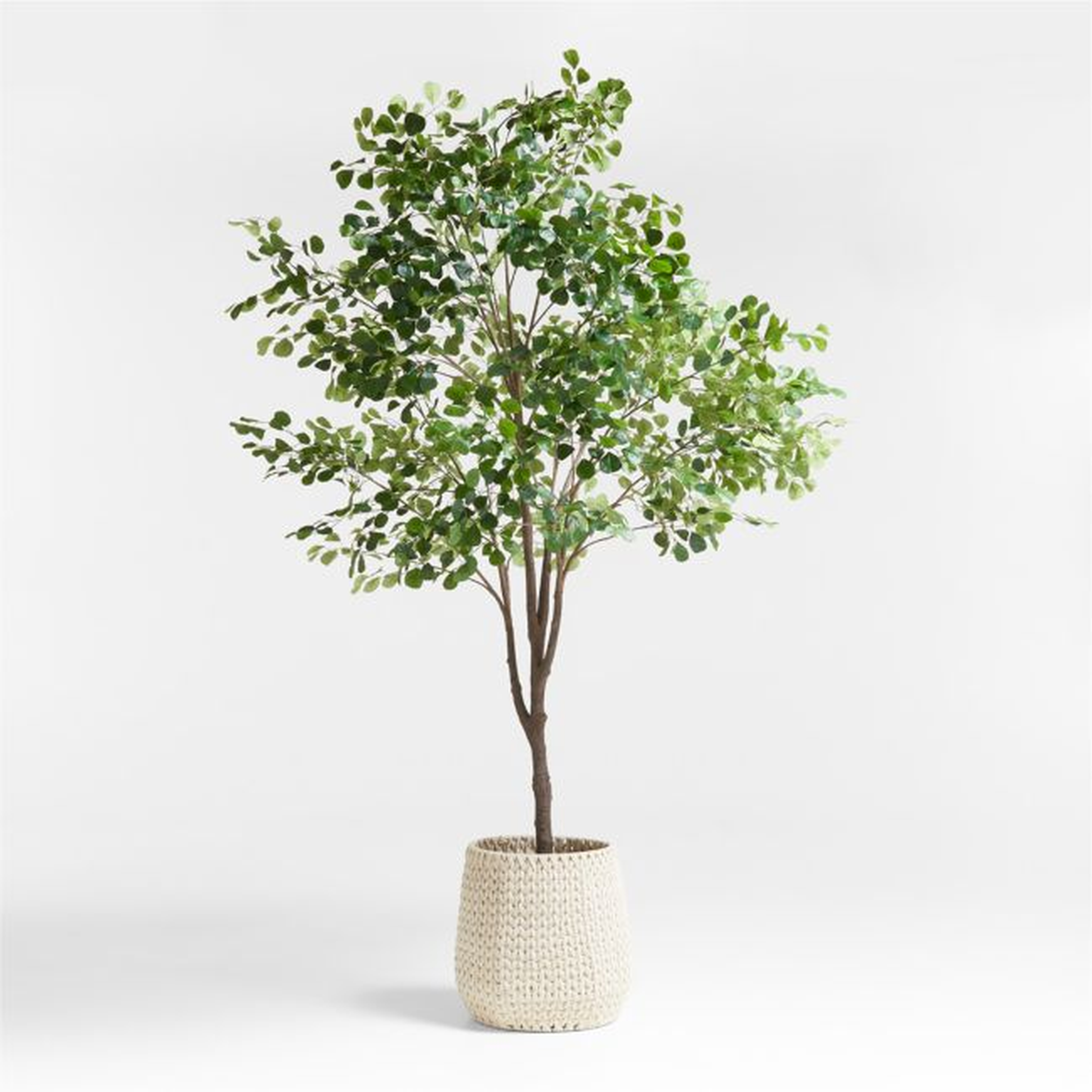 Potted Faux Triangle Ficus Tree 9' - Crate and Barrel