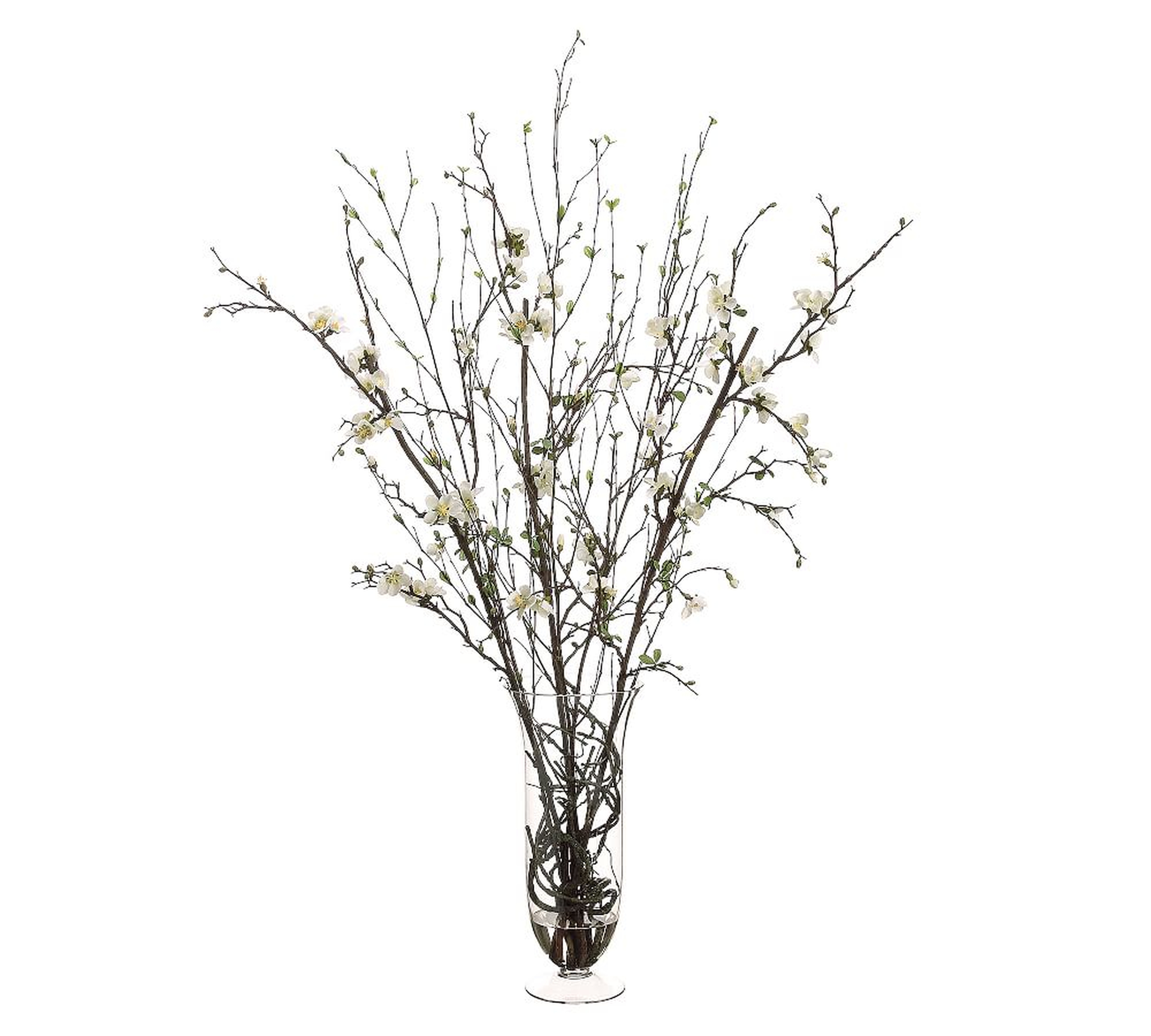 Faux Quince Blossoms With Twigs Mixed Arrangement - Pottery Barn