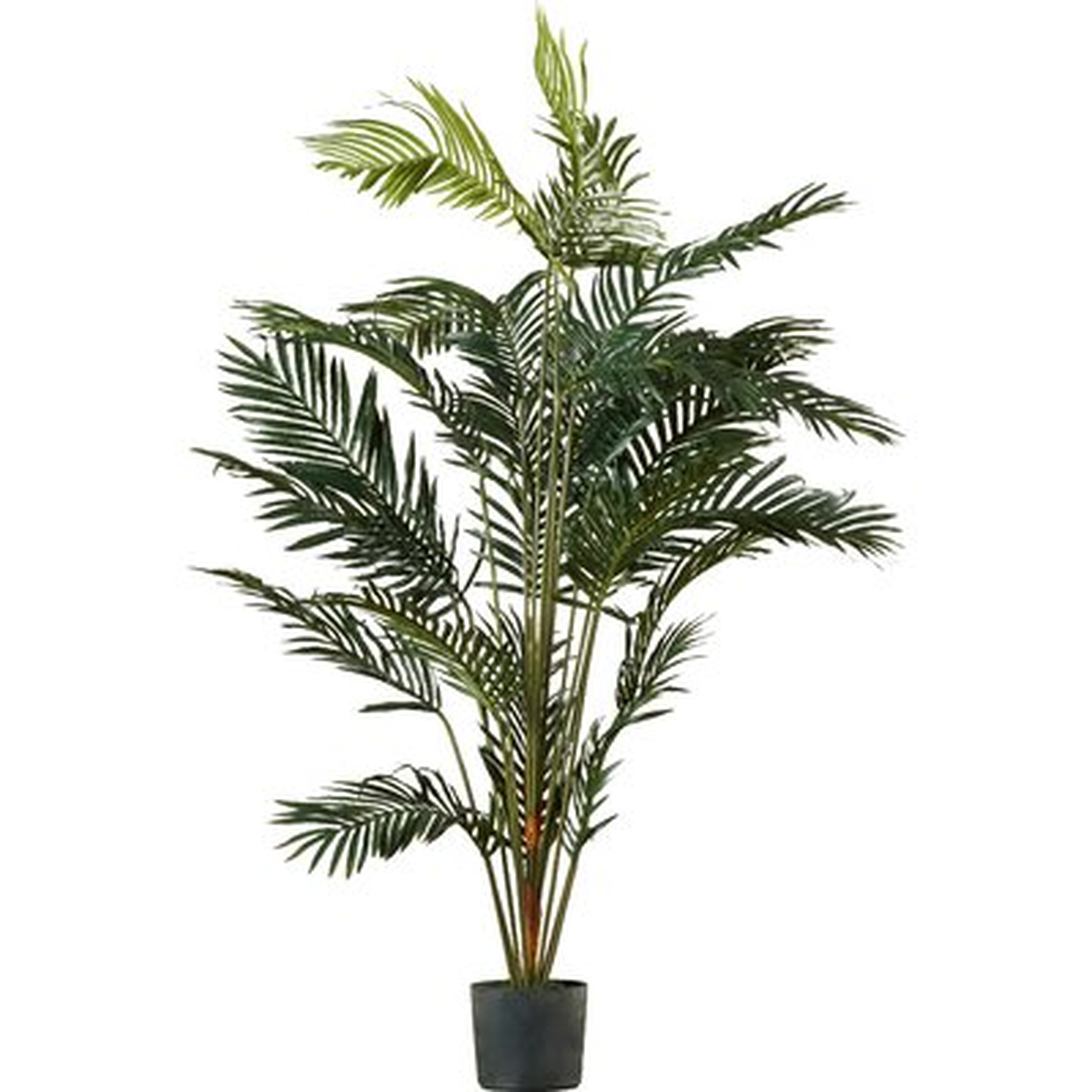 77'' Artificial Palm Tree in Pot - Wayfair
