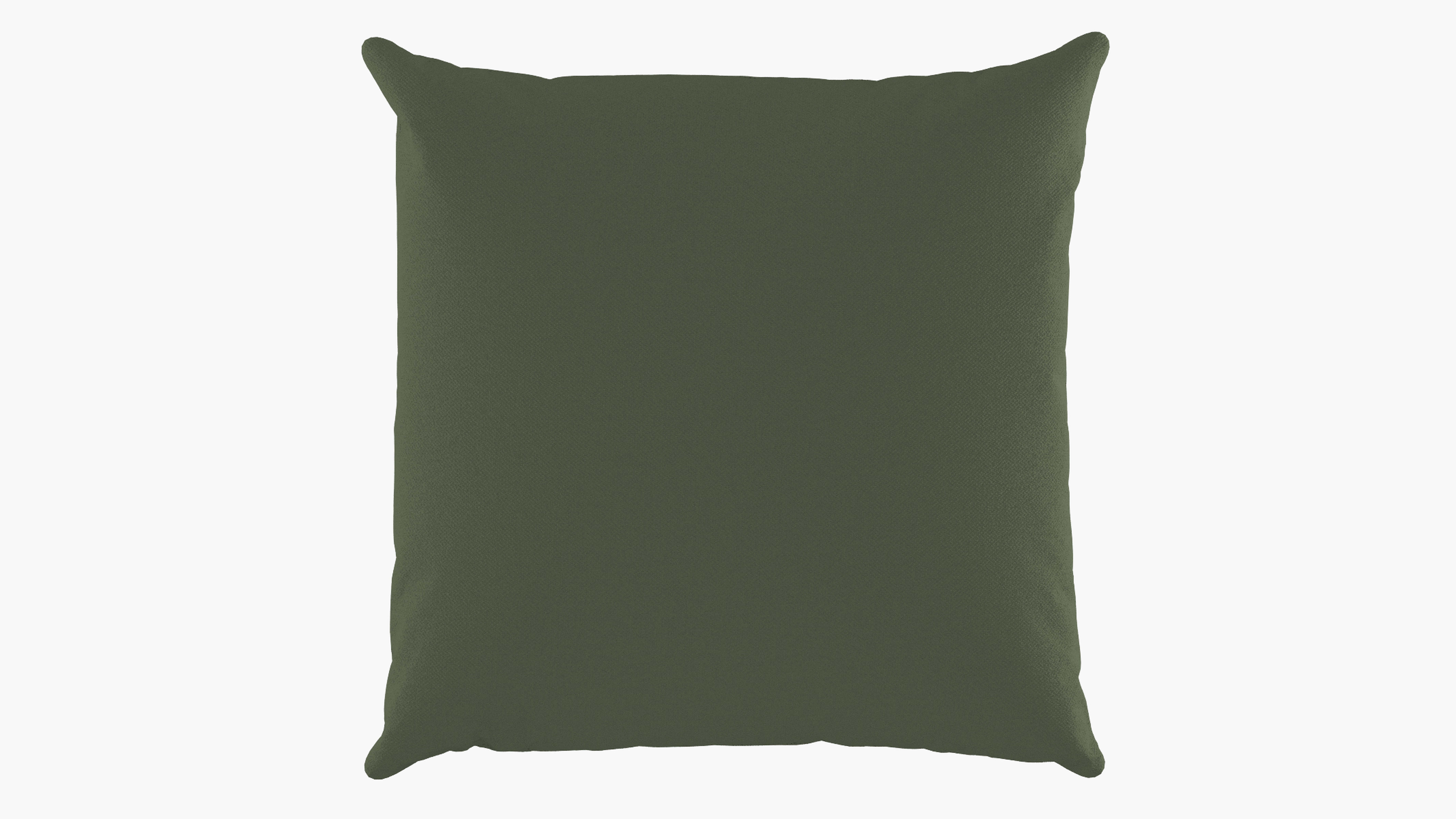 Outdoor 20" Throw Pillow, Olive, 20" x 20" - The Inside