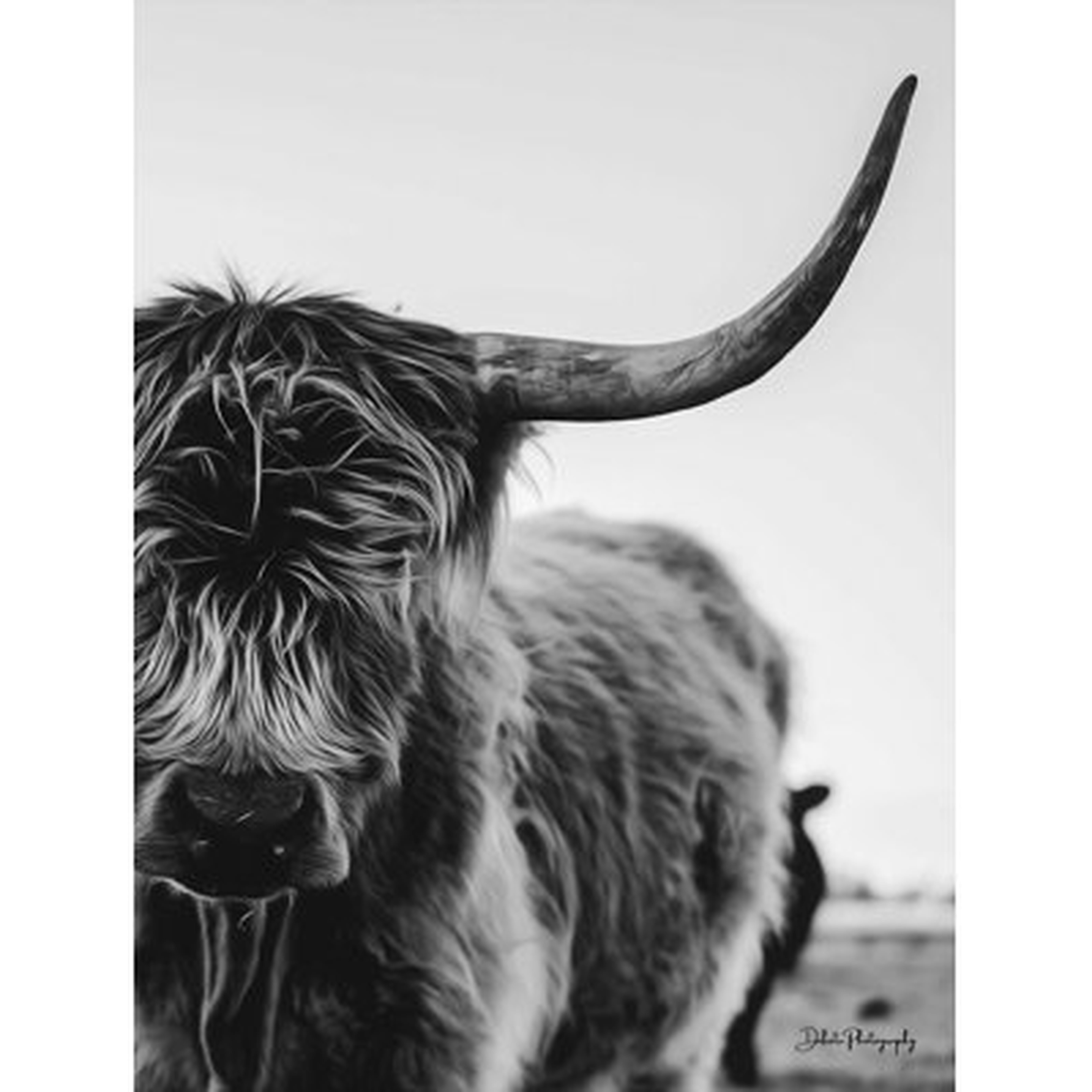 The Cow - Wayfair