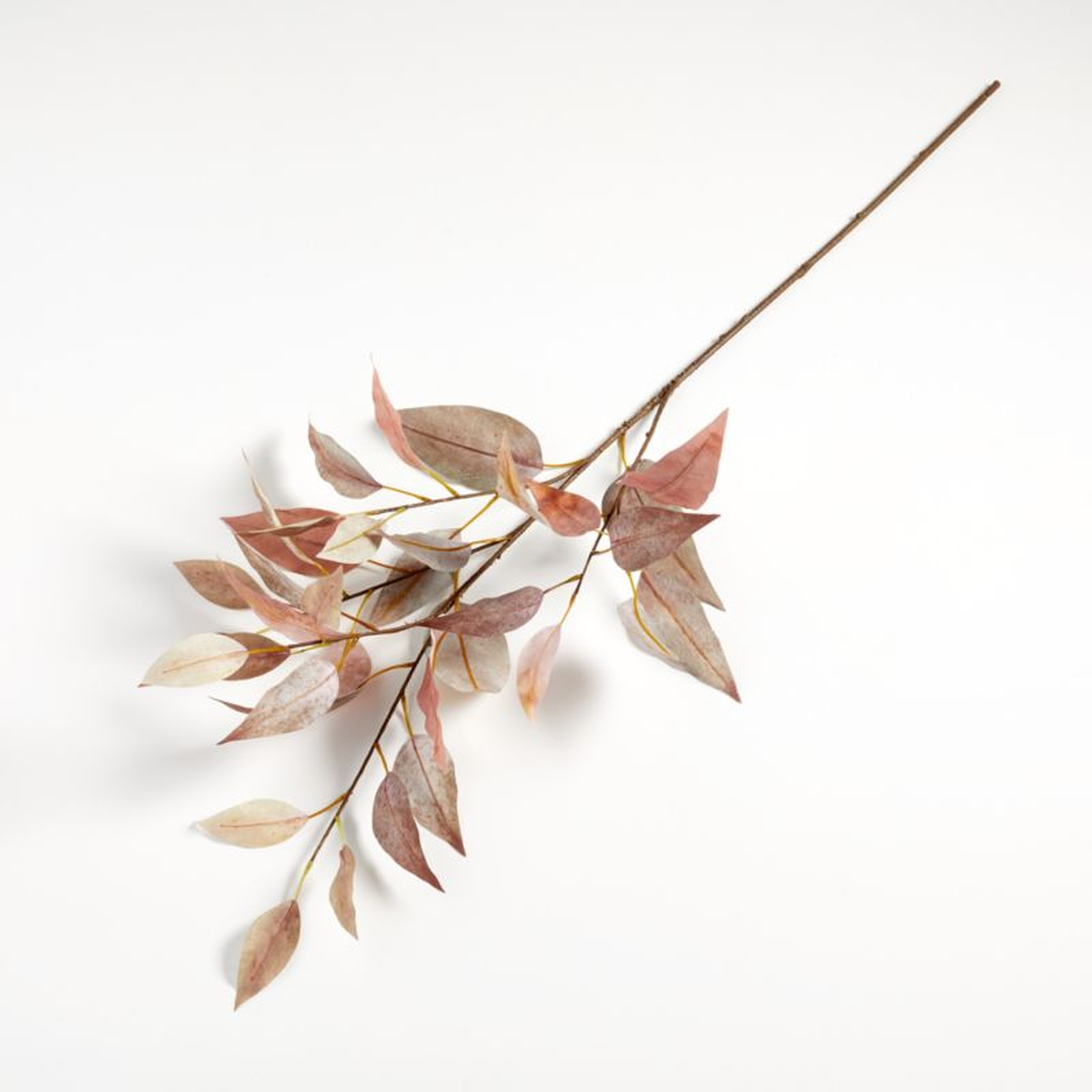 Faux Willow Eucalyptus Stem - Crate and Barrel
