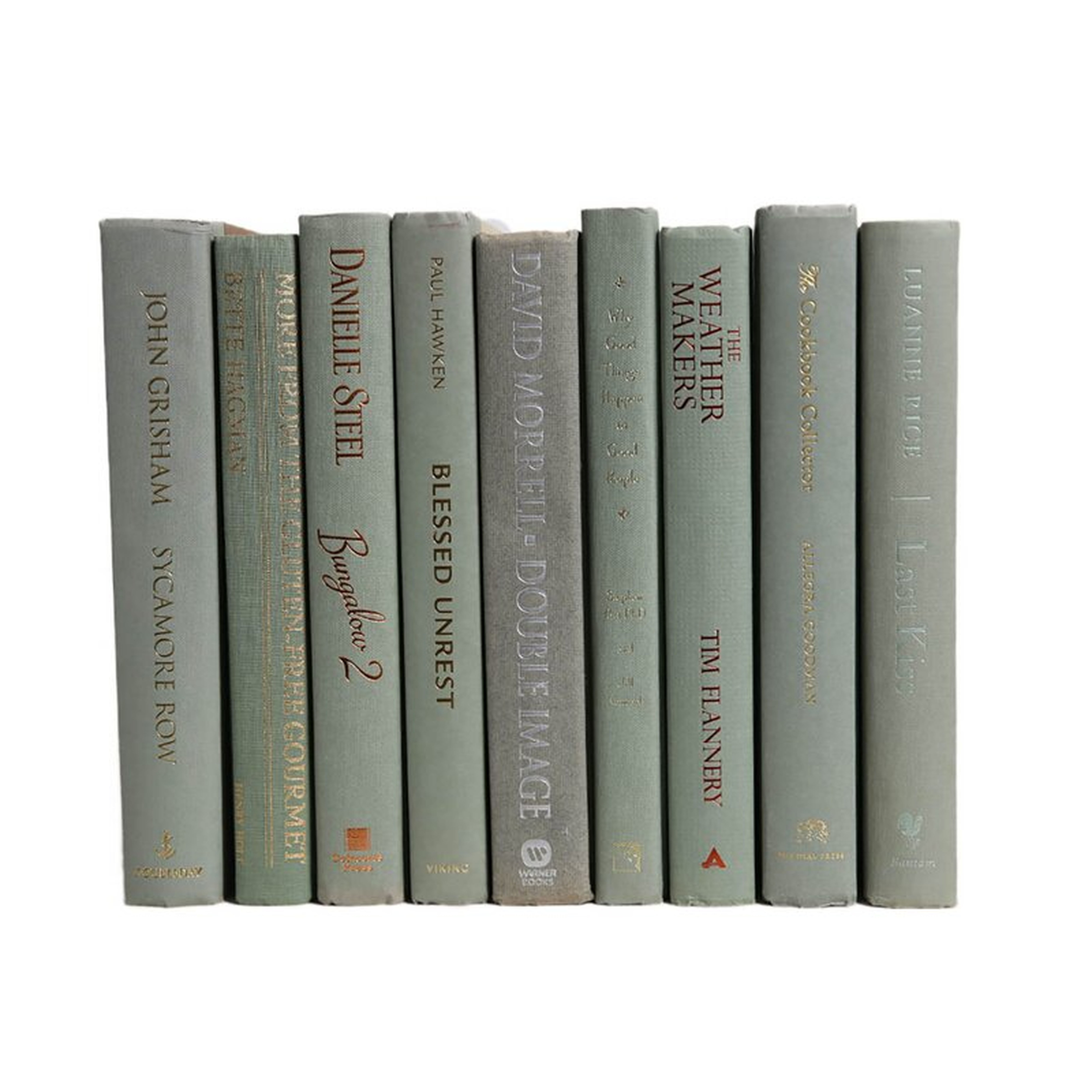 Booth & Williams Spanish Moss Colorpak Authentic Decorative Book - Perigold