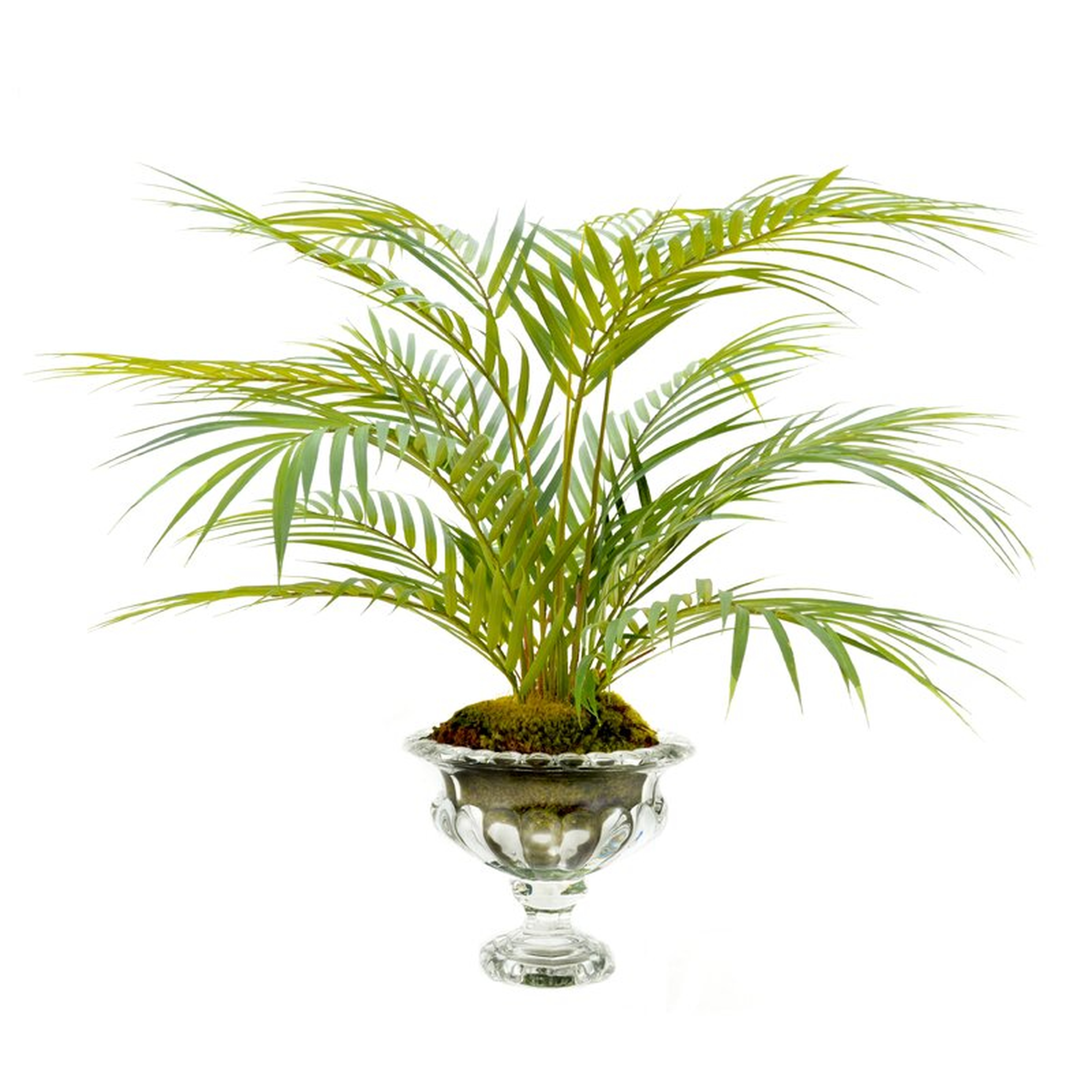 Floor Faux Palm Plant in Vase - Perigold