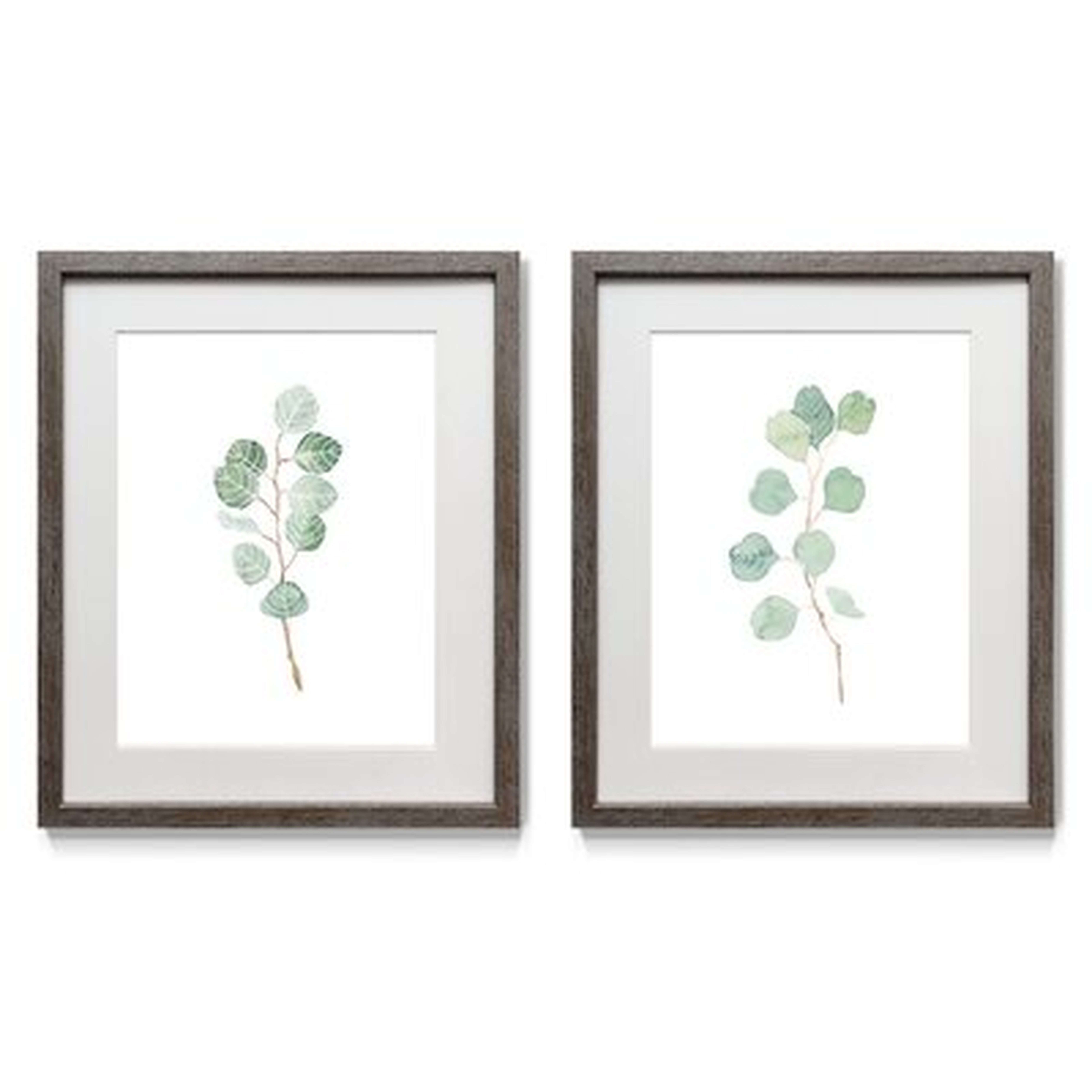 Soft Eucalyptus Branch III - 2 Piece Picture Frame Print Set on Paper - Wayfair