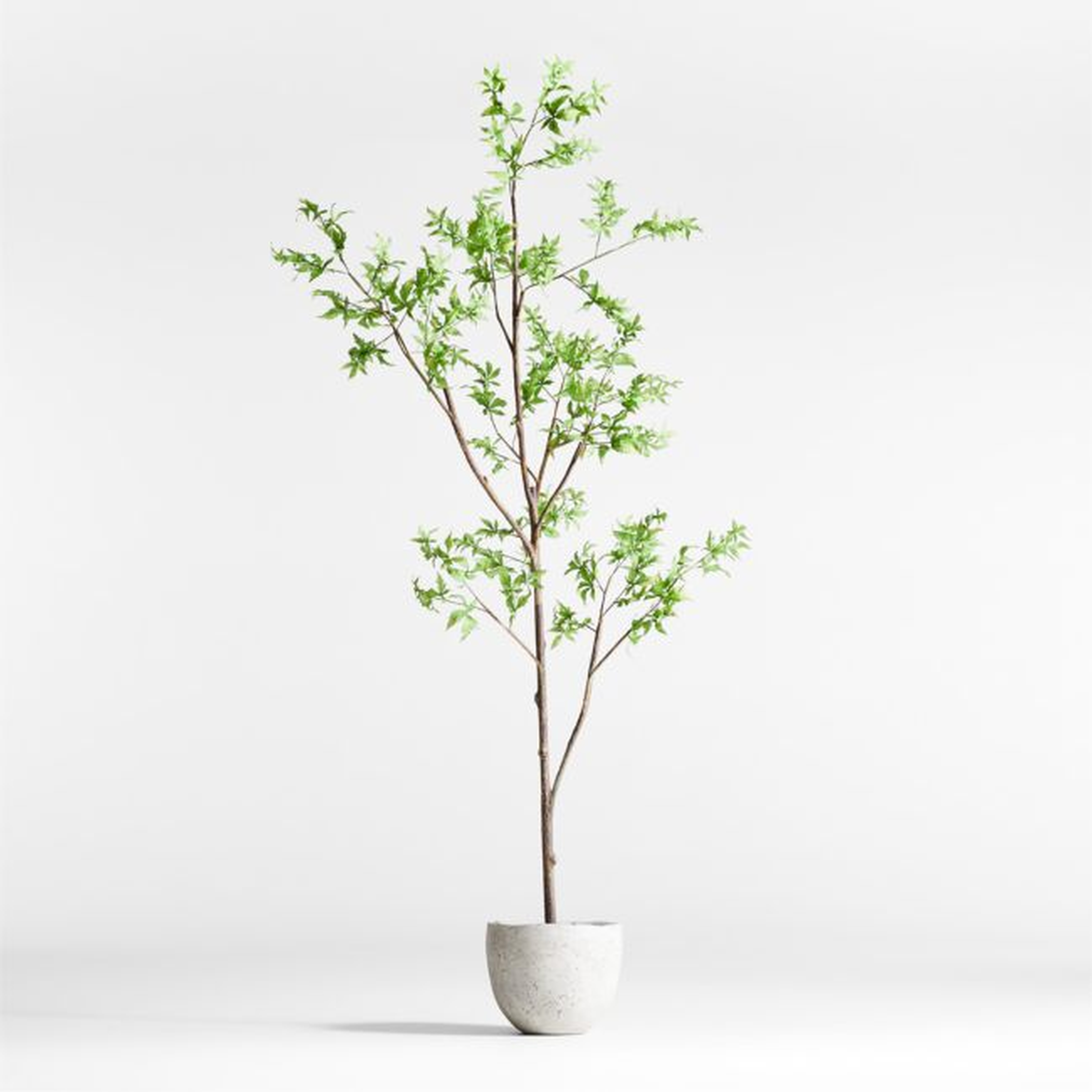 Potted Faux Green Maple Tree 7.5' - Crate and Barrel