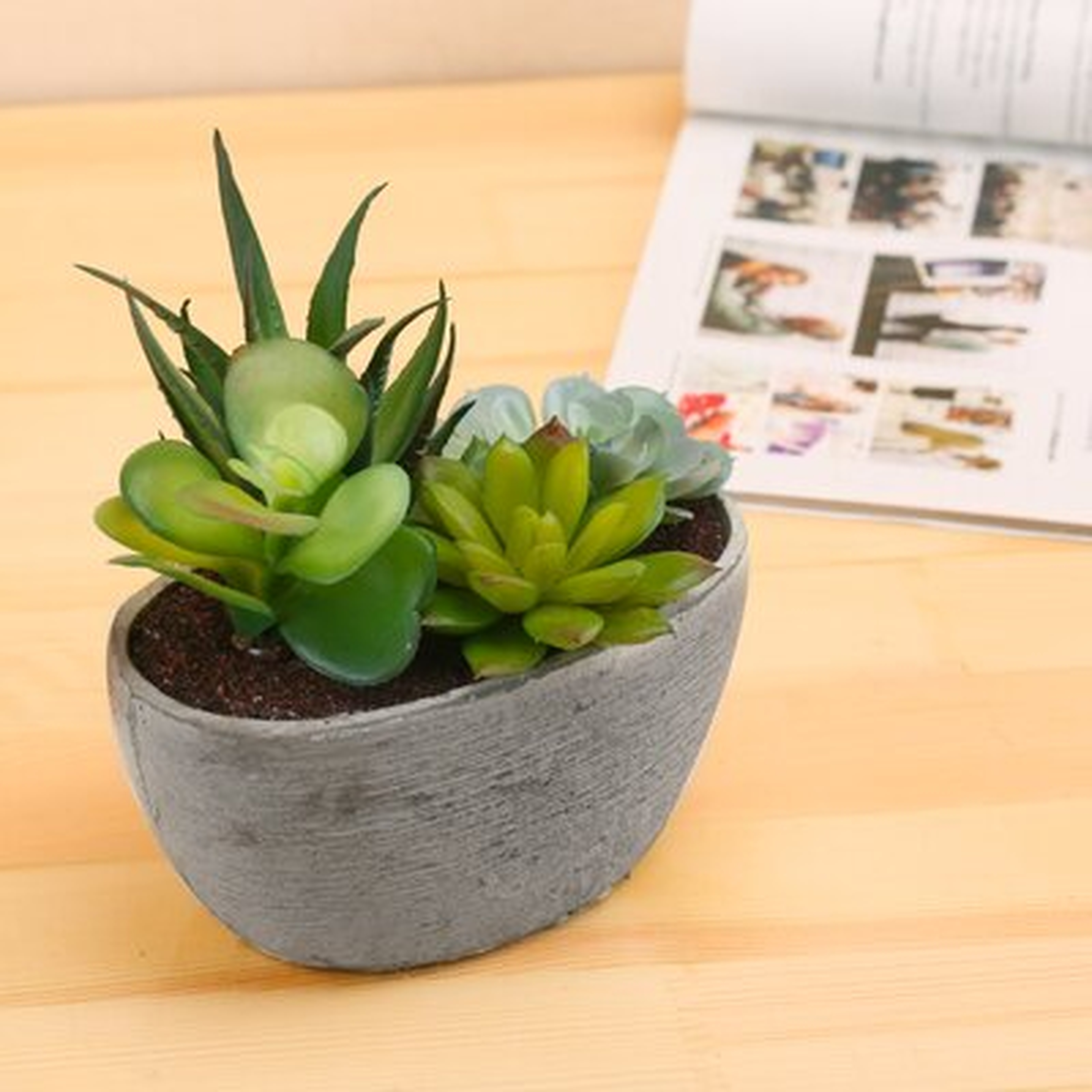 3" Artificial Succulent Plant in Pot - Wayfair