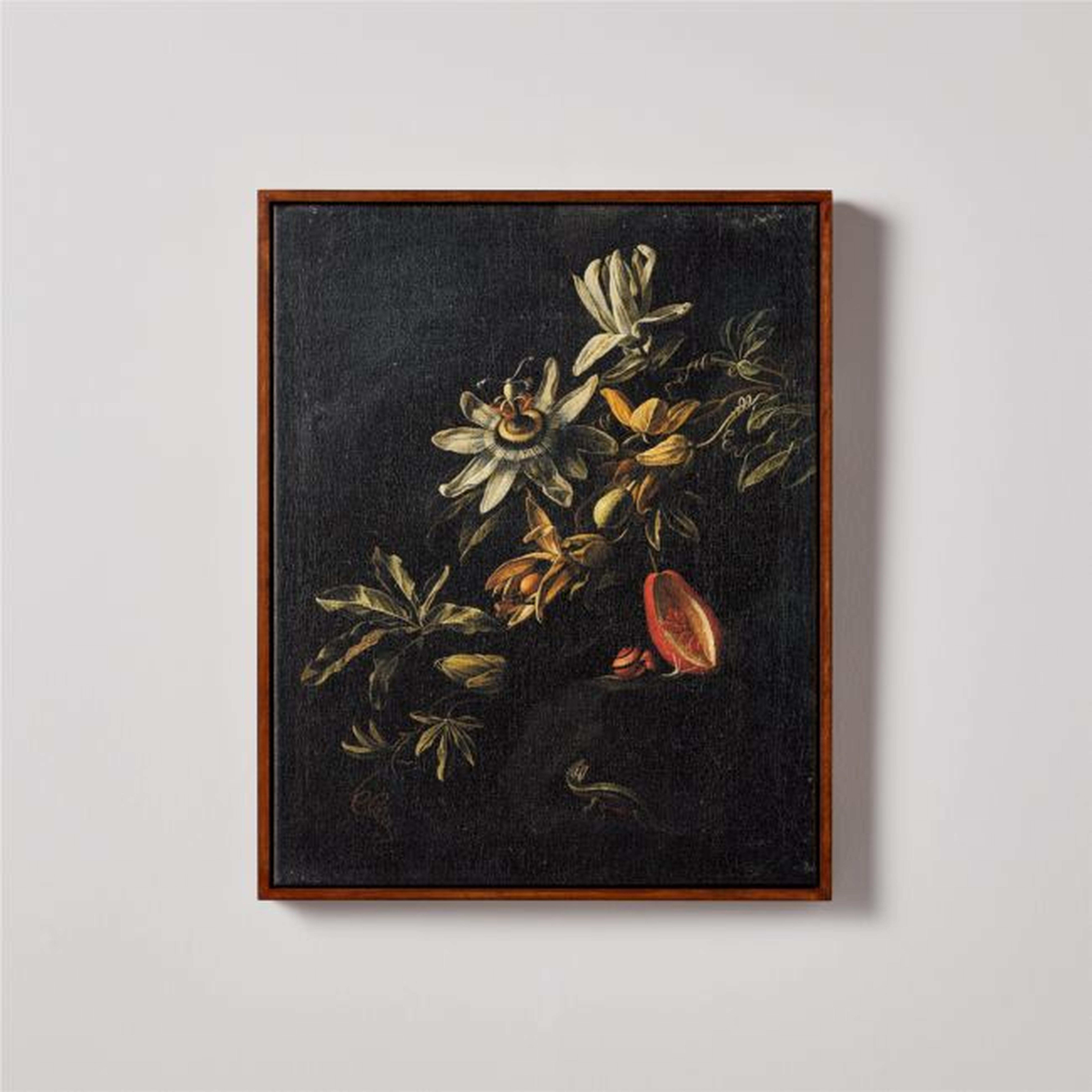'Still Life with Passionflowers' Framed Reproduction by Elias Van Den Broeck 17''x21'' - CB2