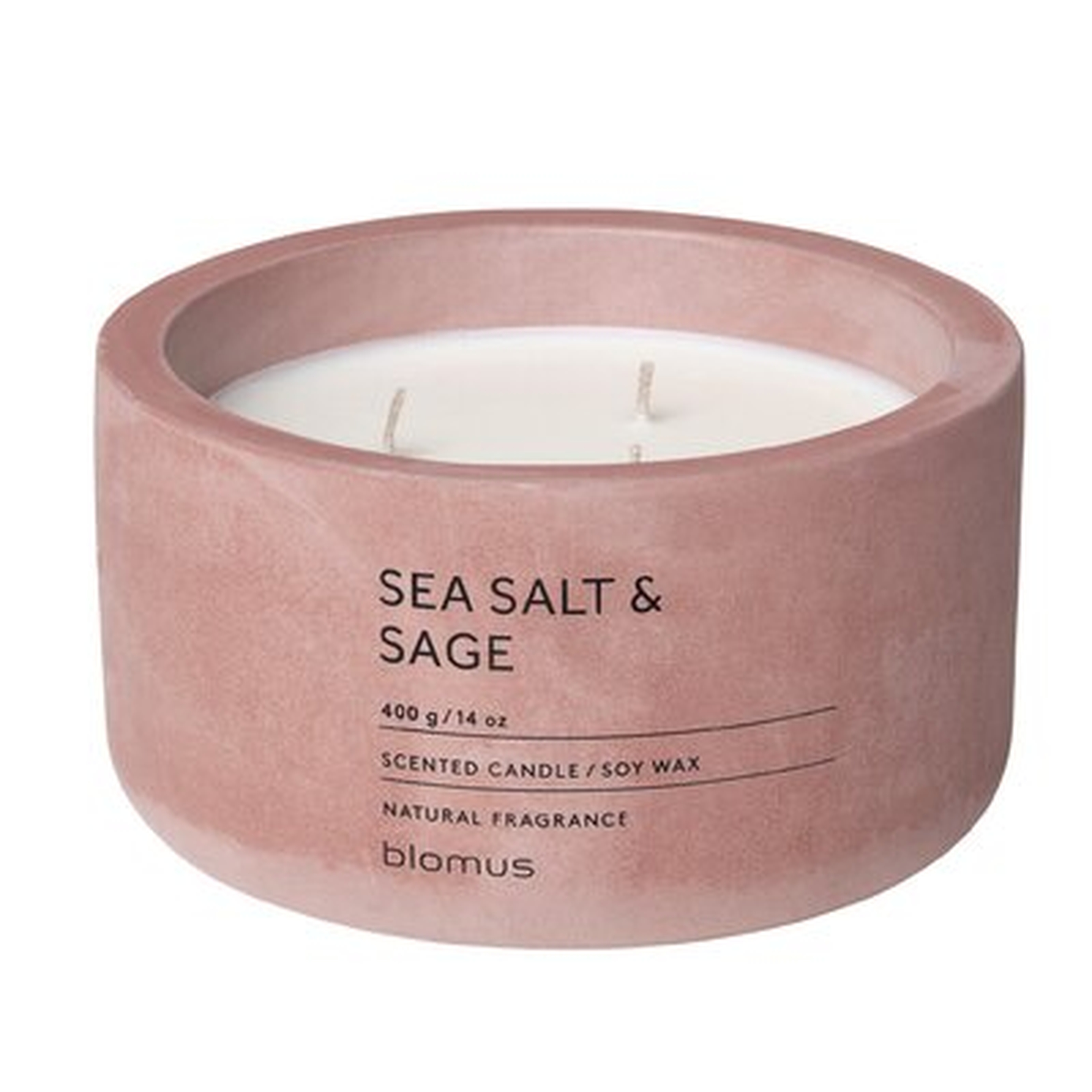 Sea Salt and Sage Scented Jar Candle - AllModern