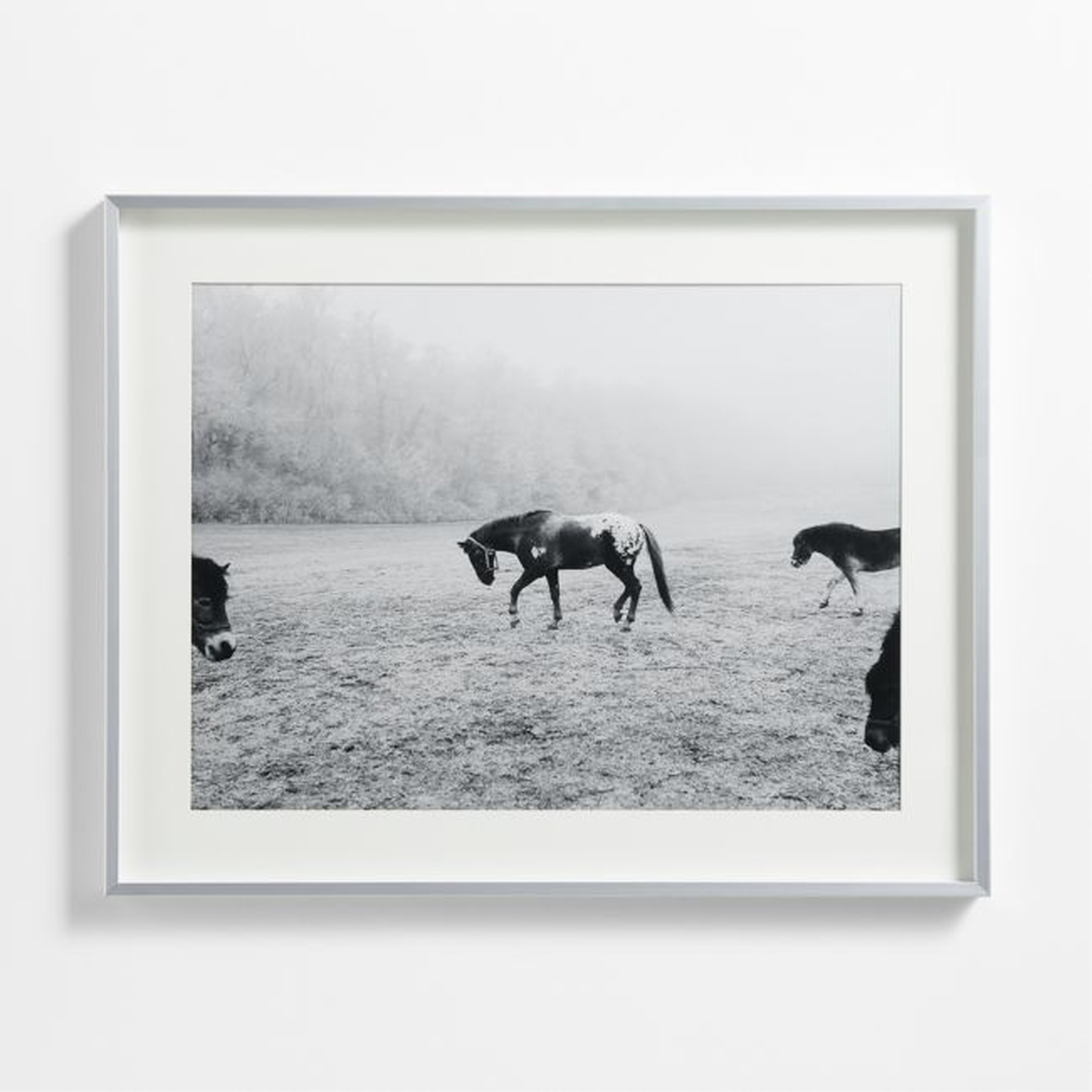 Brushed Silver 18x24 Wall Picture Frame - Crate and Barrel