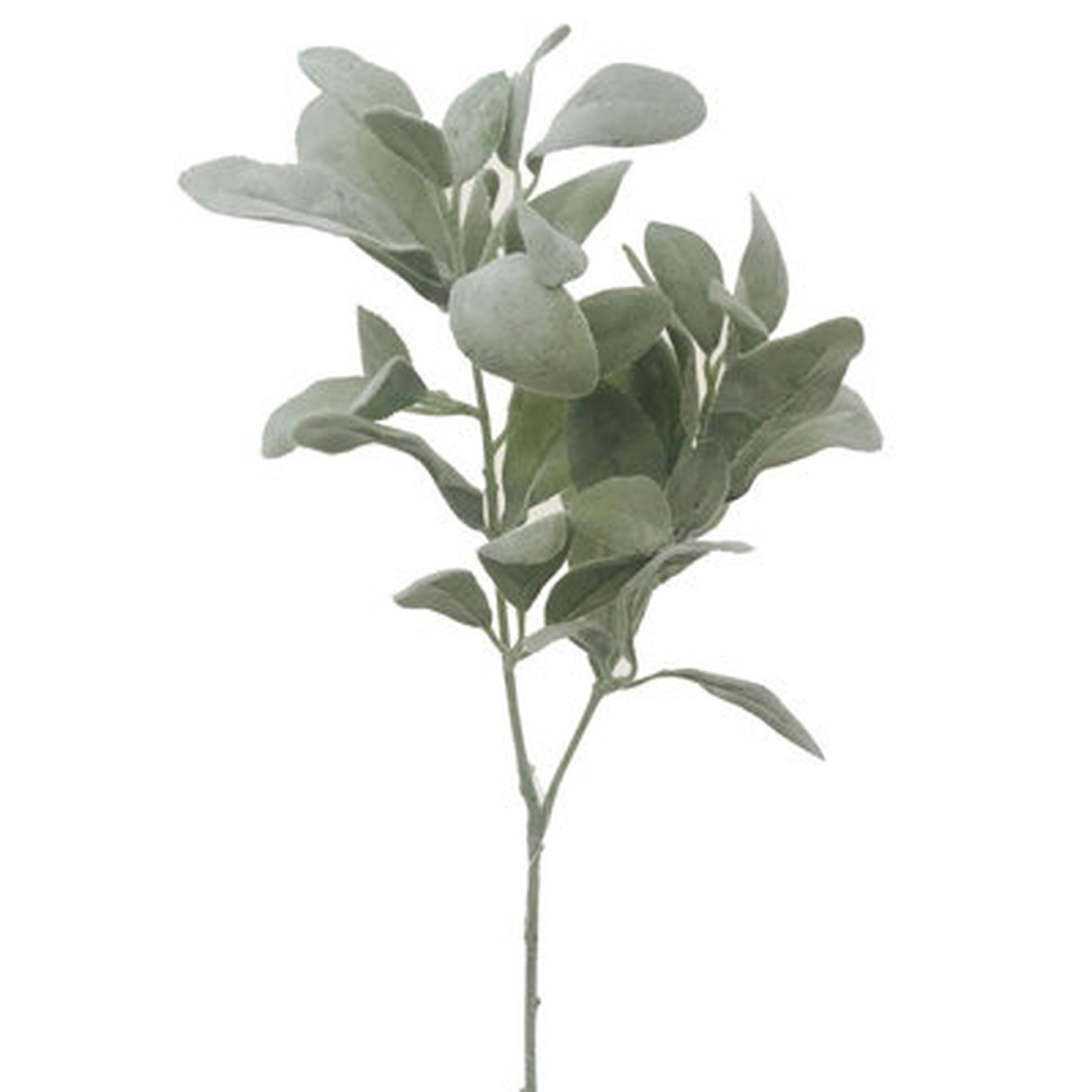 Lambs Ear Branch Faux Plants And Trees - Wayfair