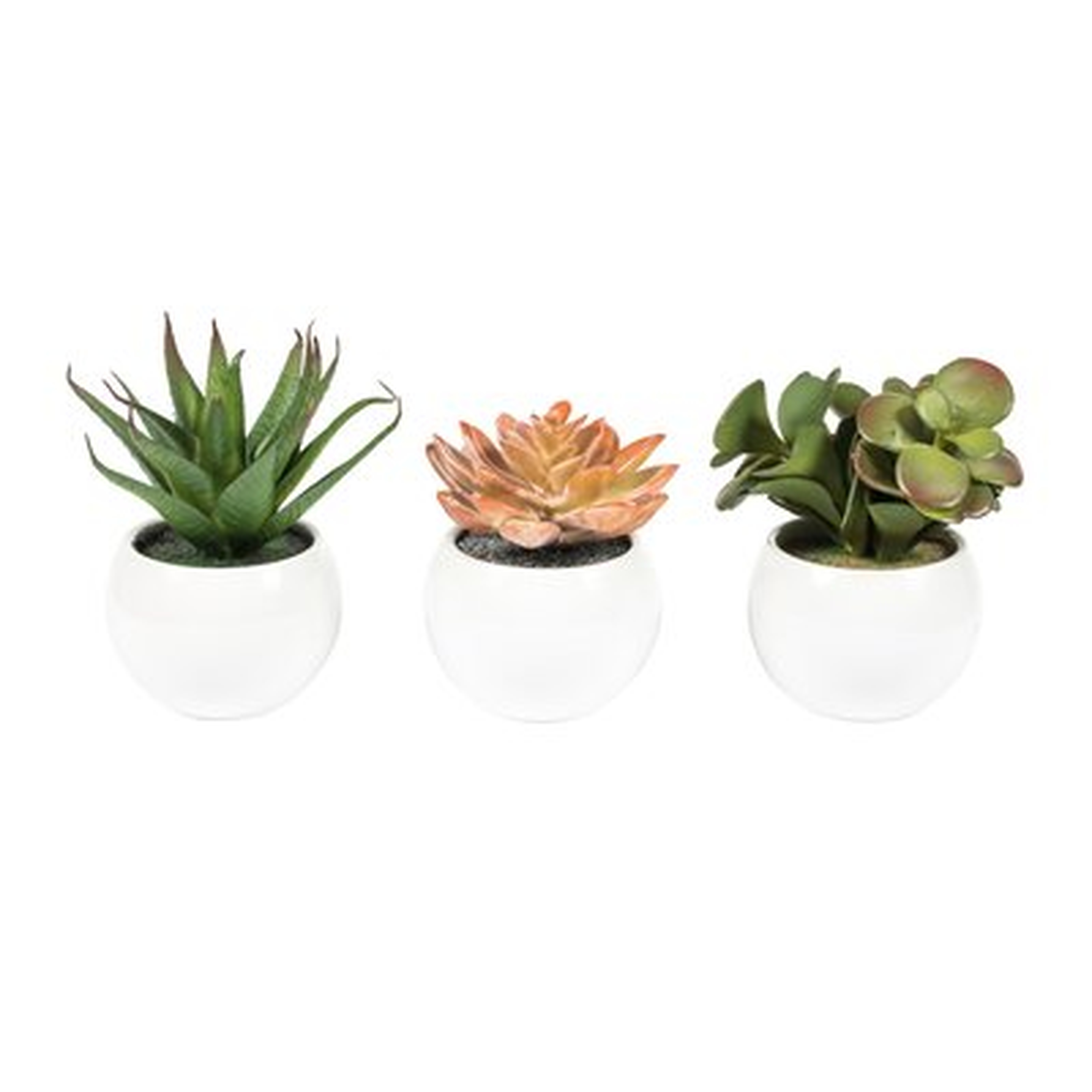 3 Artificial Succulent in Pot Set - Wayfair