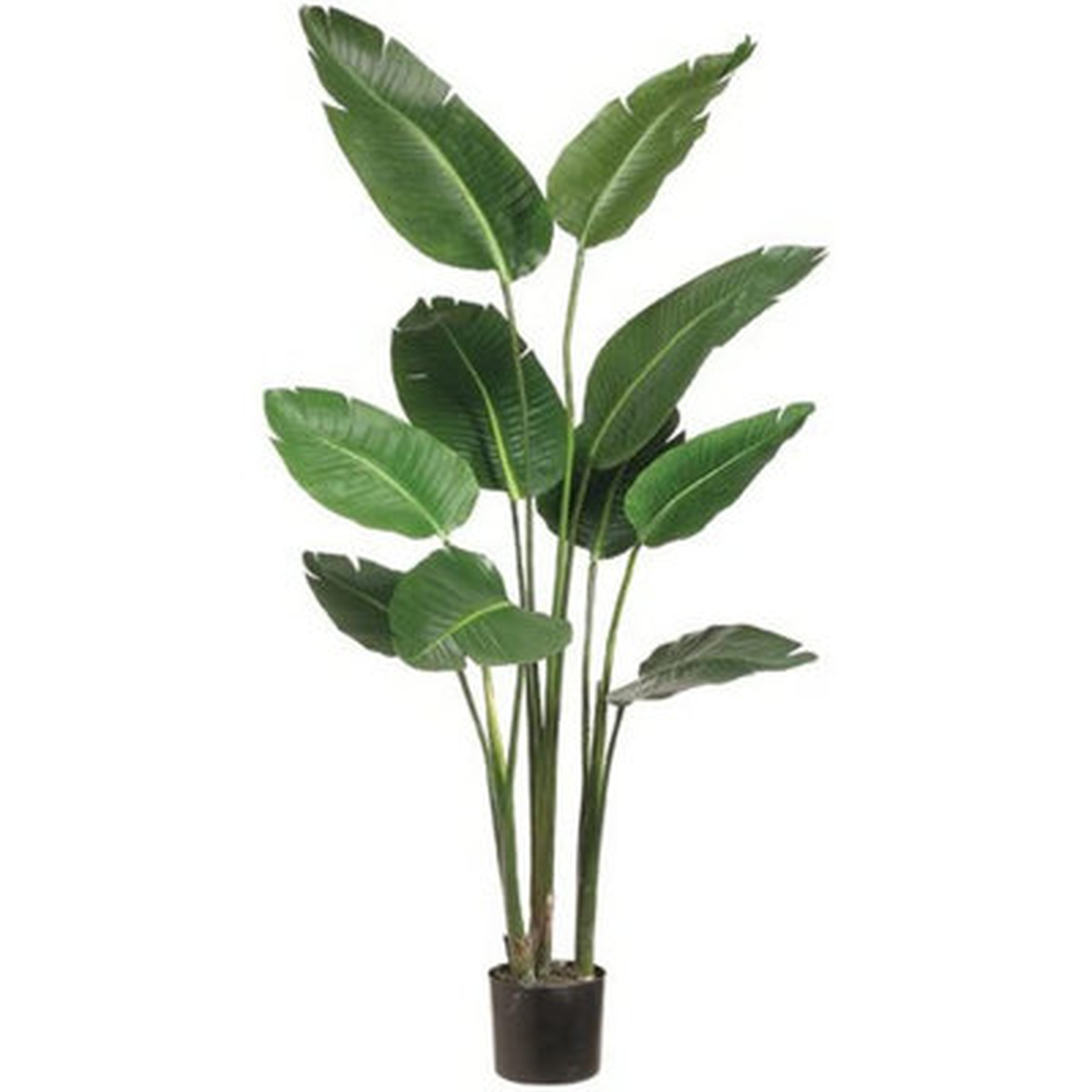 60'' Faux Tree in Pot - Wayfair