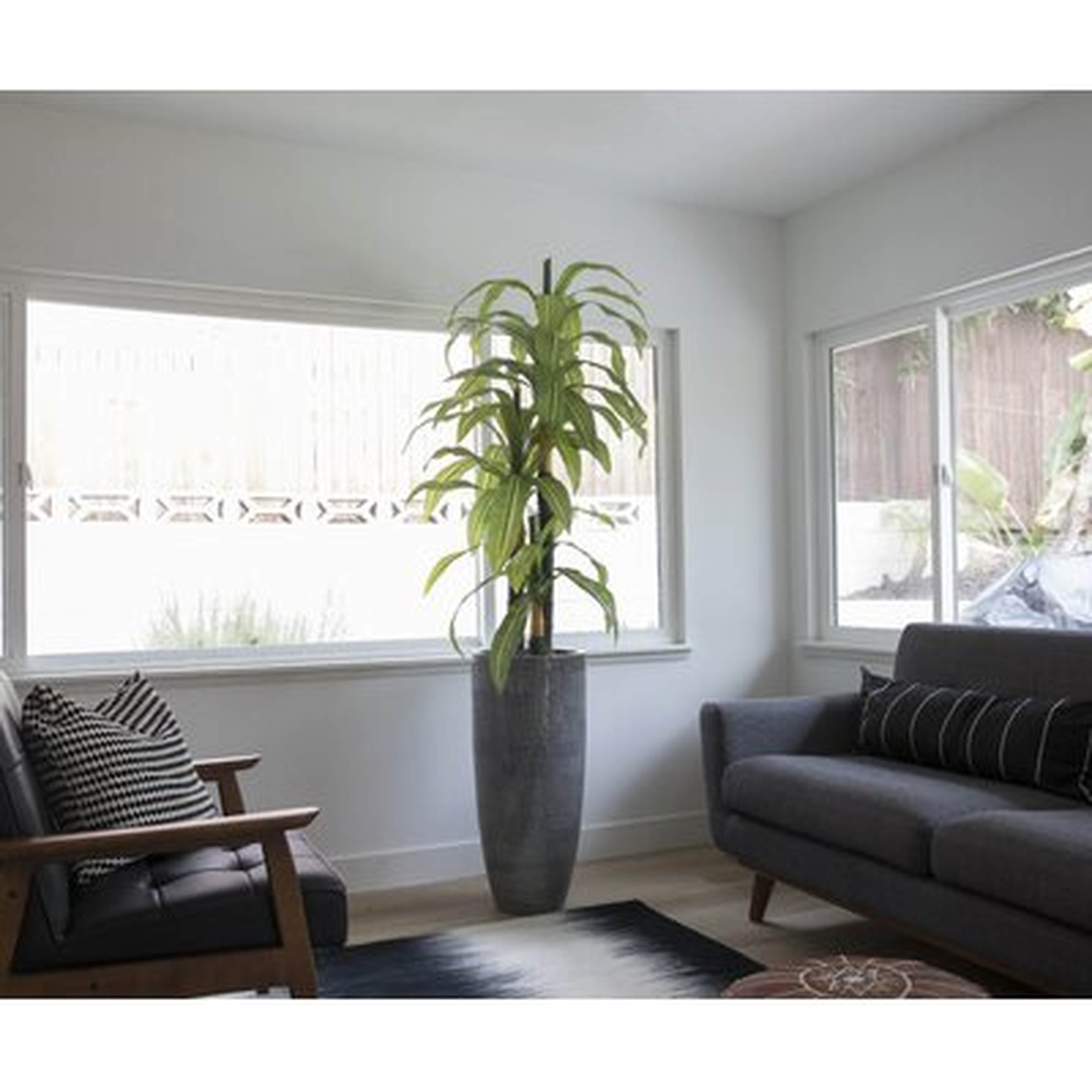Real Touch Corn Plant in Planter - Wayfair