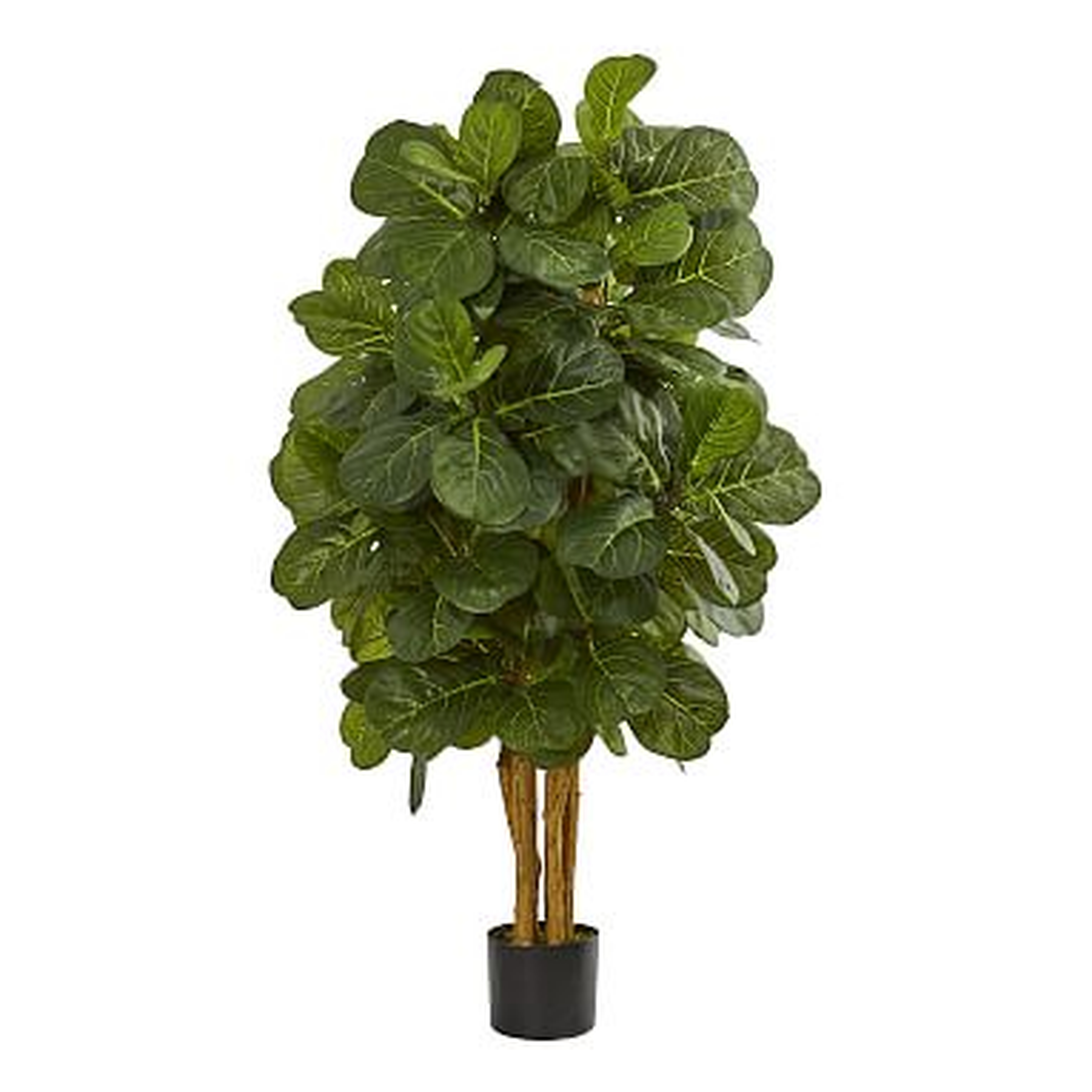 Faux Potted Fiddle Leaf Fig Tree - Pottery Barn Teen