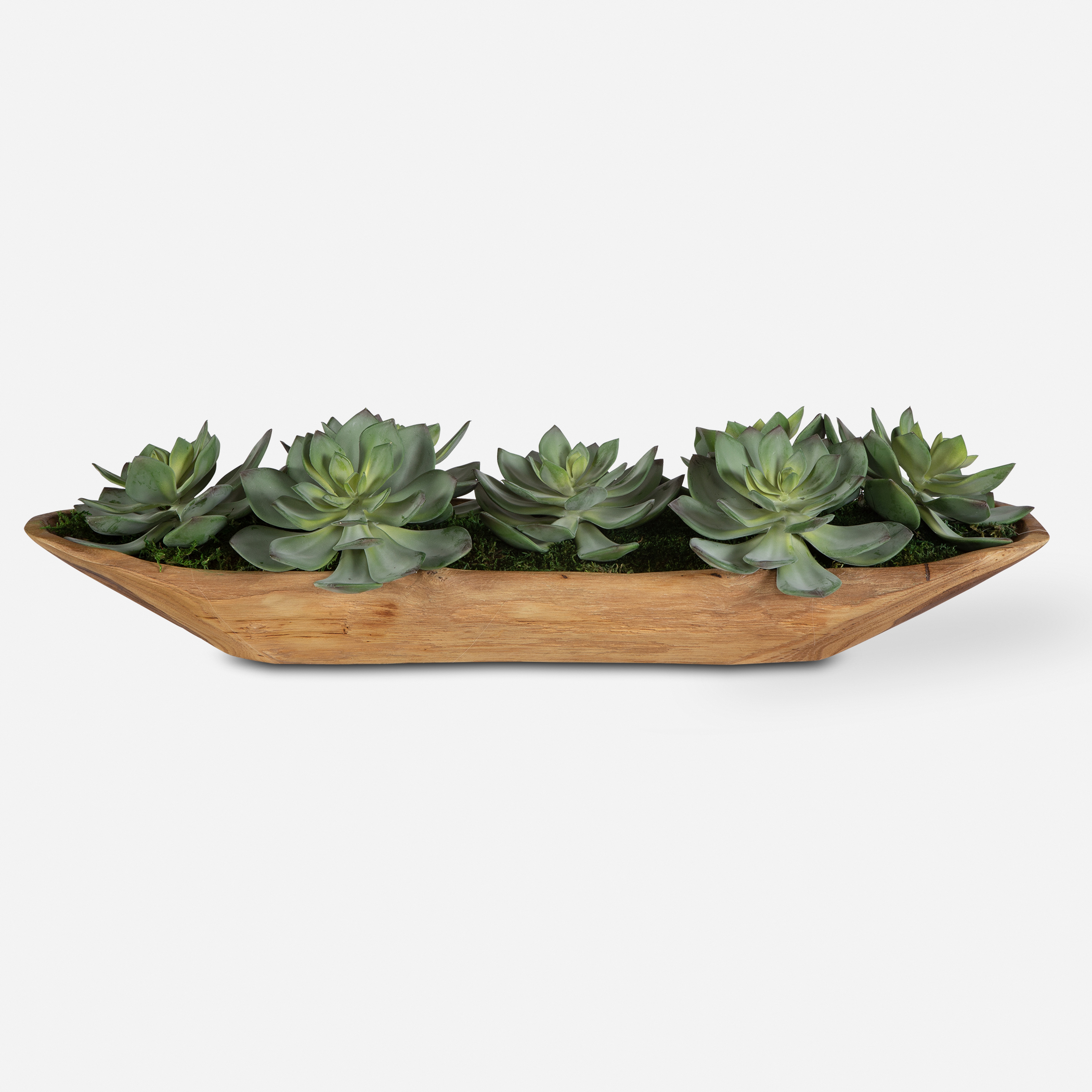 Yuma Succulent Centerpiece - Uttermost