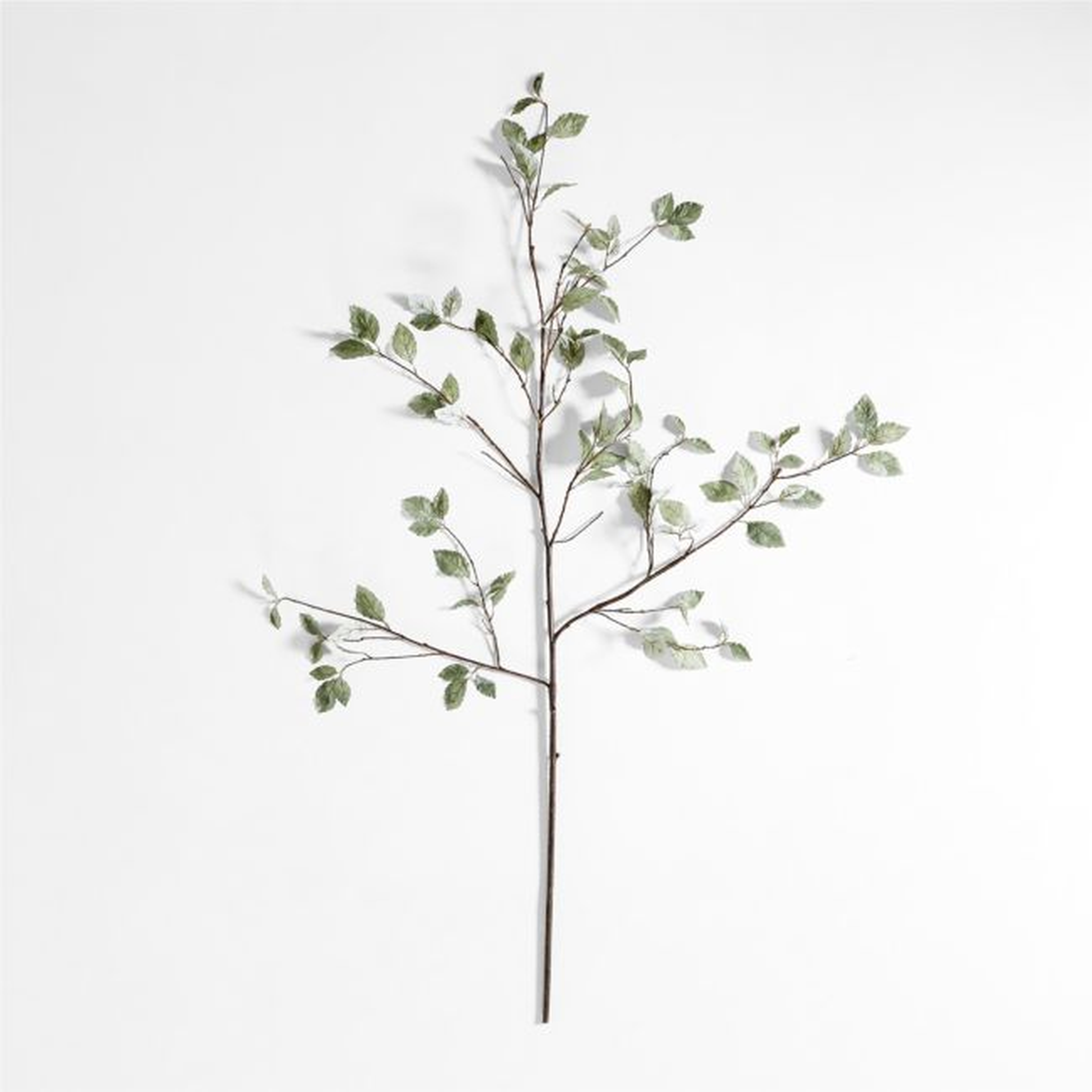 Faux Sage Green Leaf Branch 66" - Crate and Barrel