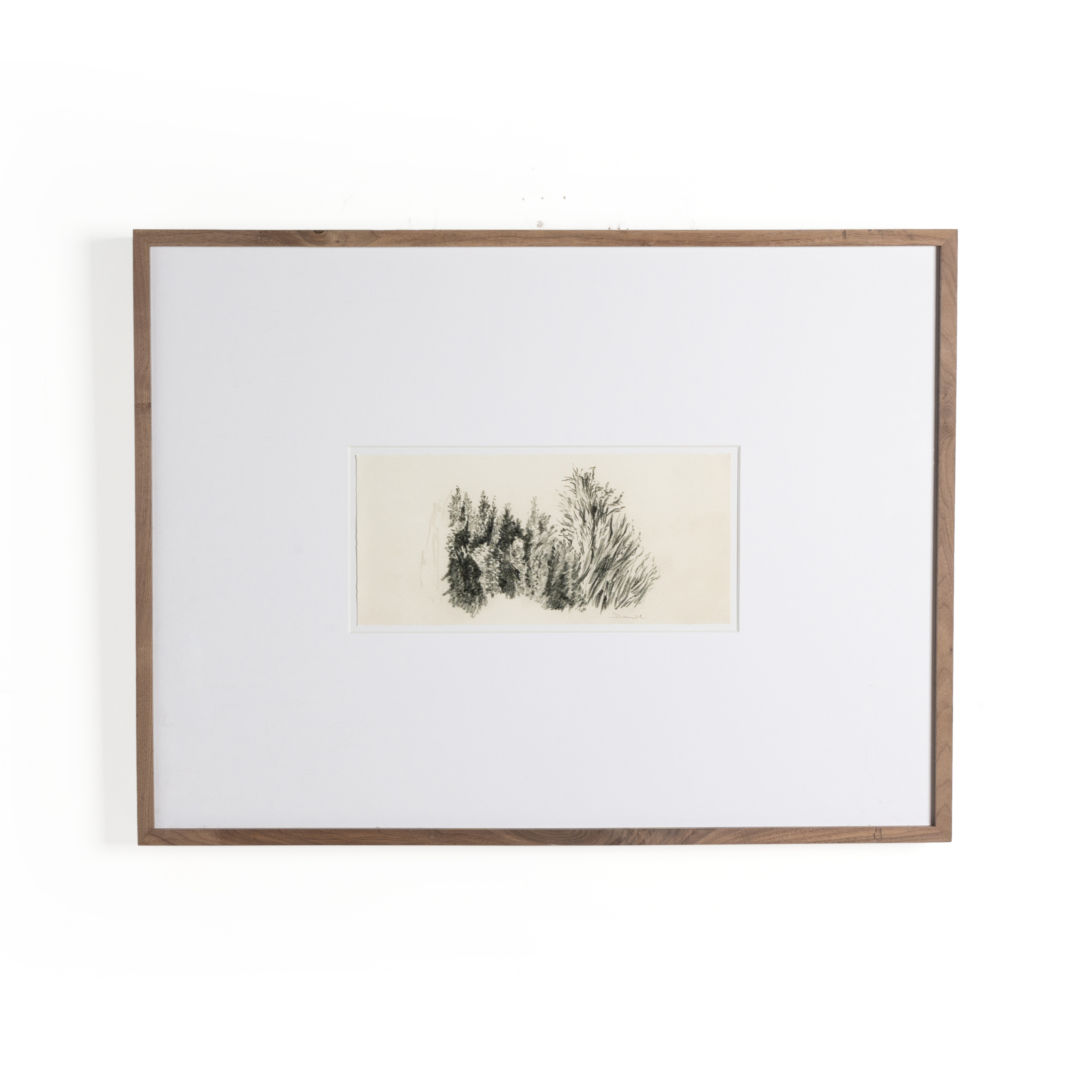 Tree Sketch by Dan Hobday - Rustic 2.5 Walnut - Four Hands