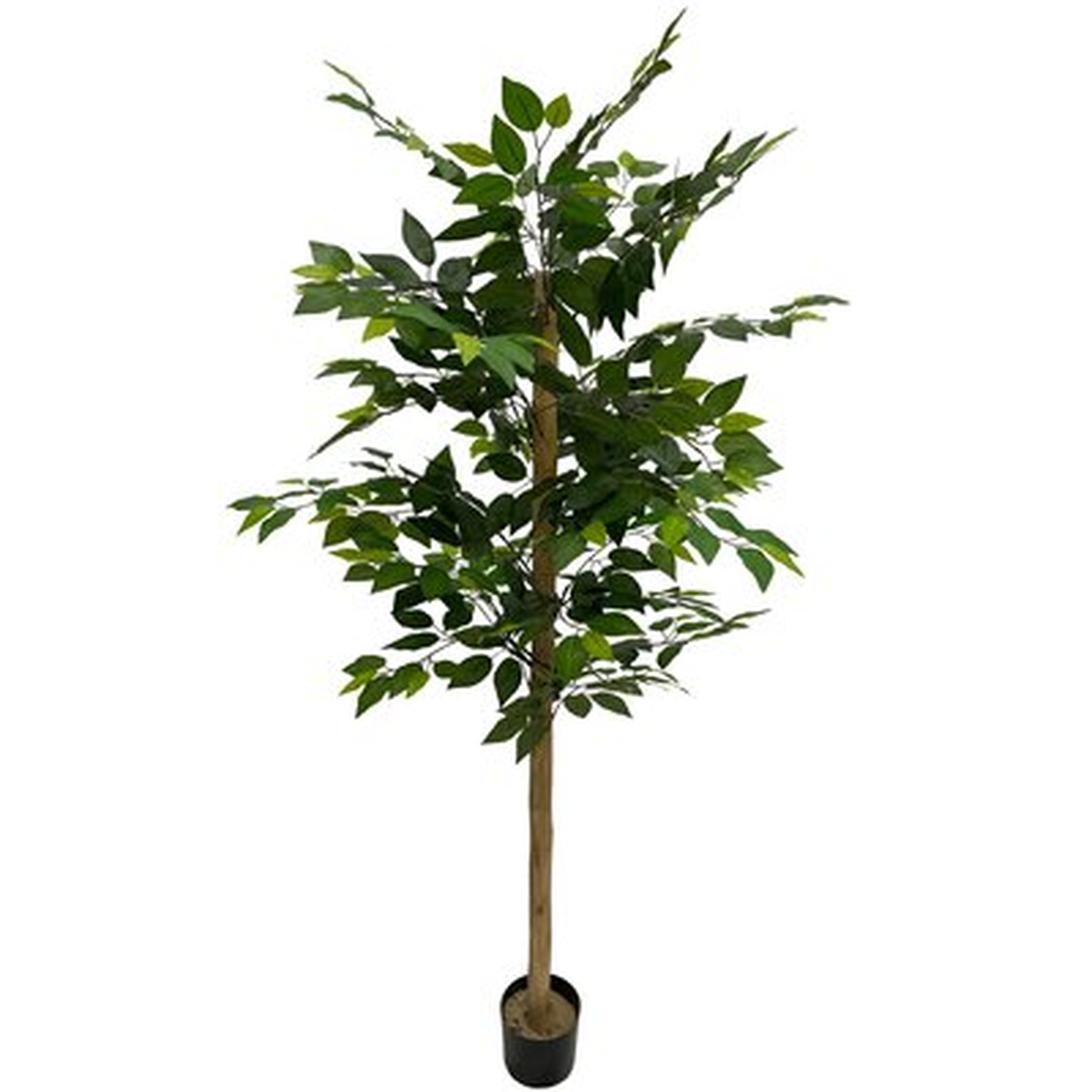 72" Artificial Ficus Tree in Pot - Wayfair