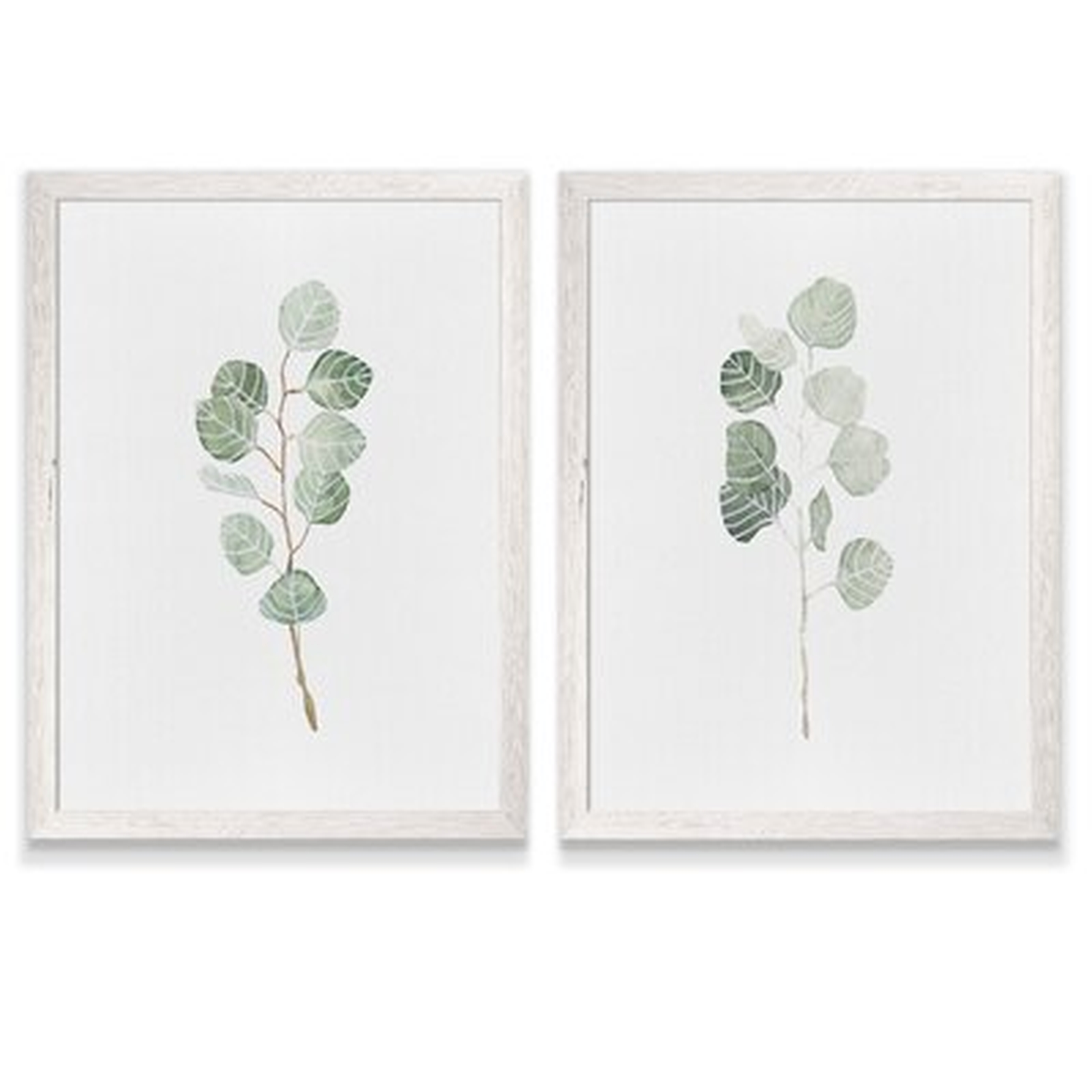 'Soft Eucalyptus Branch I' by Vincent Van Gogh - 2 Piece Picture Frame Painting Print Set - Wayfair
