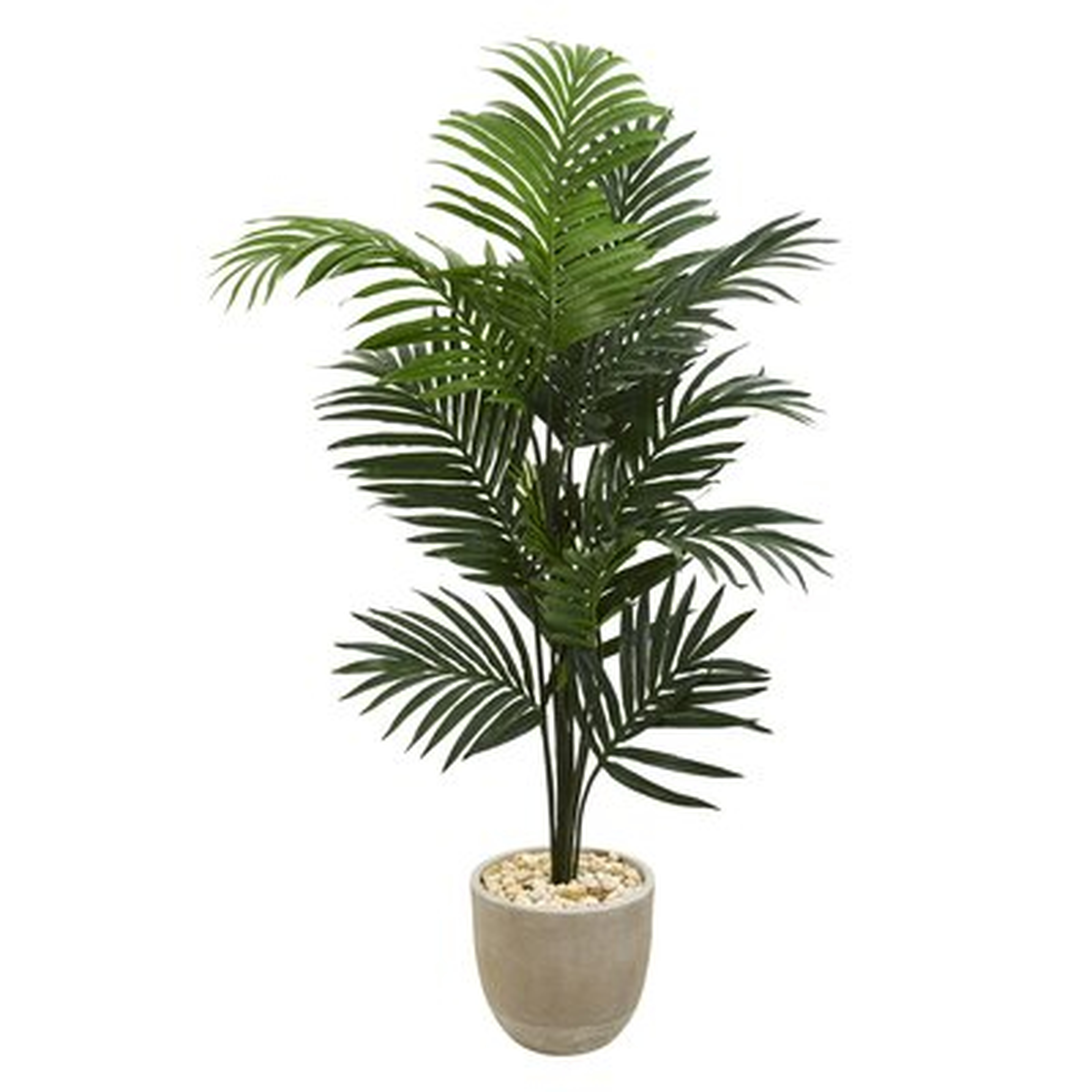 60" Artificial Palm Tree in Planter - Wayfair