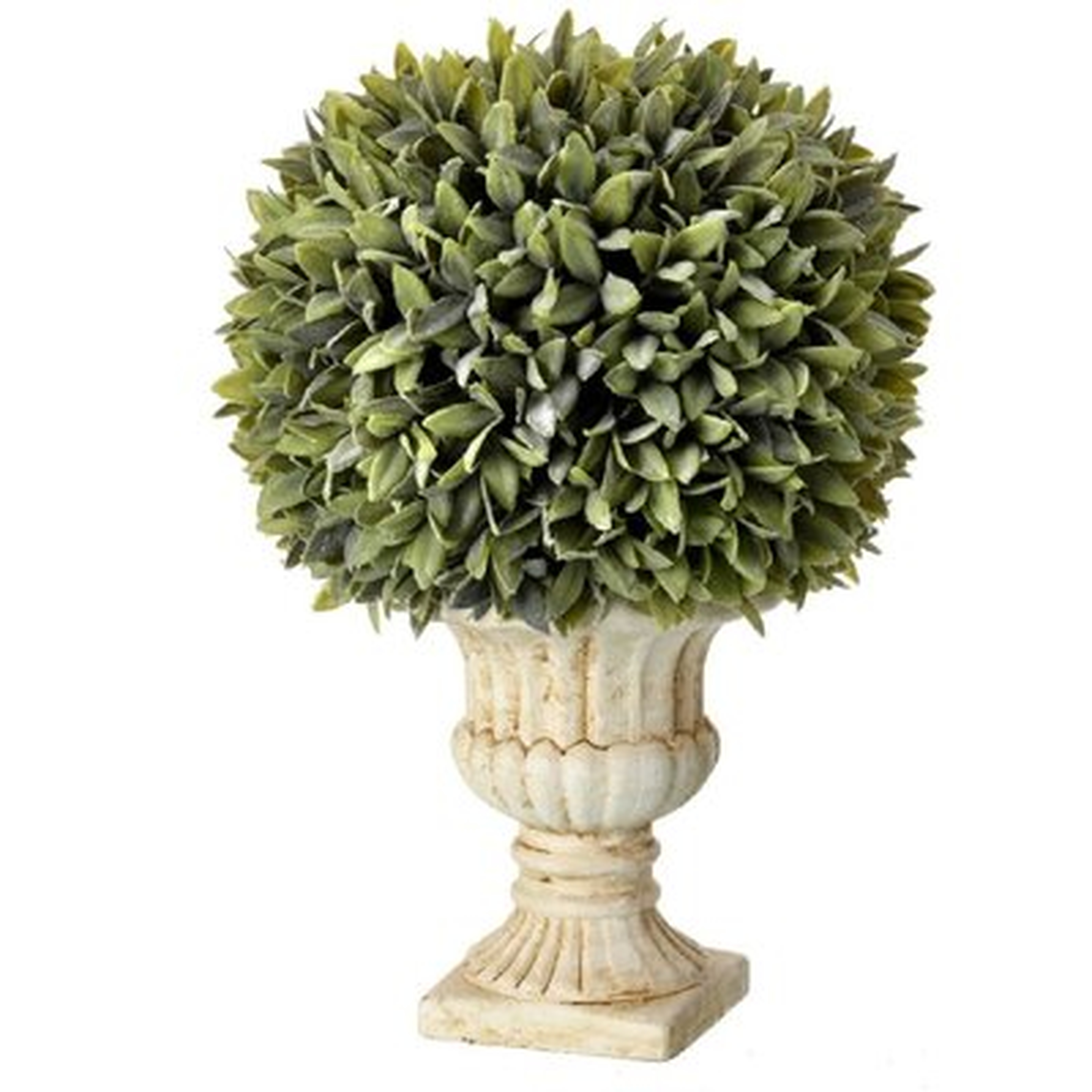Regency Potted Flocked Sage Ball Foliage Topiary in Urn - Wayfair