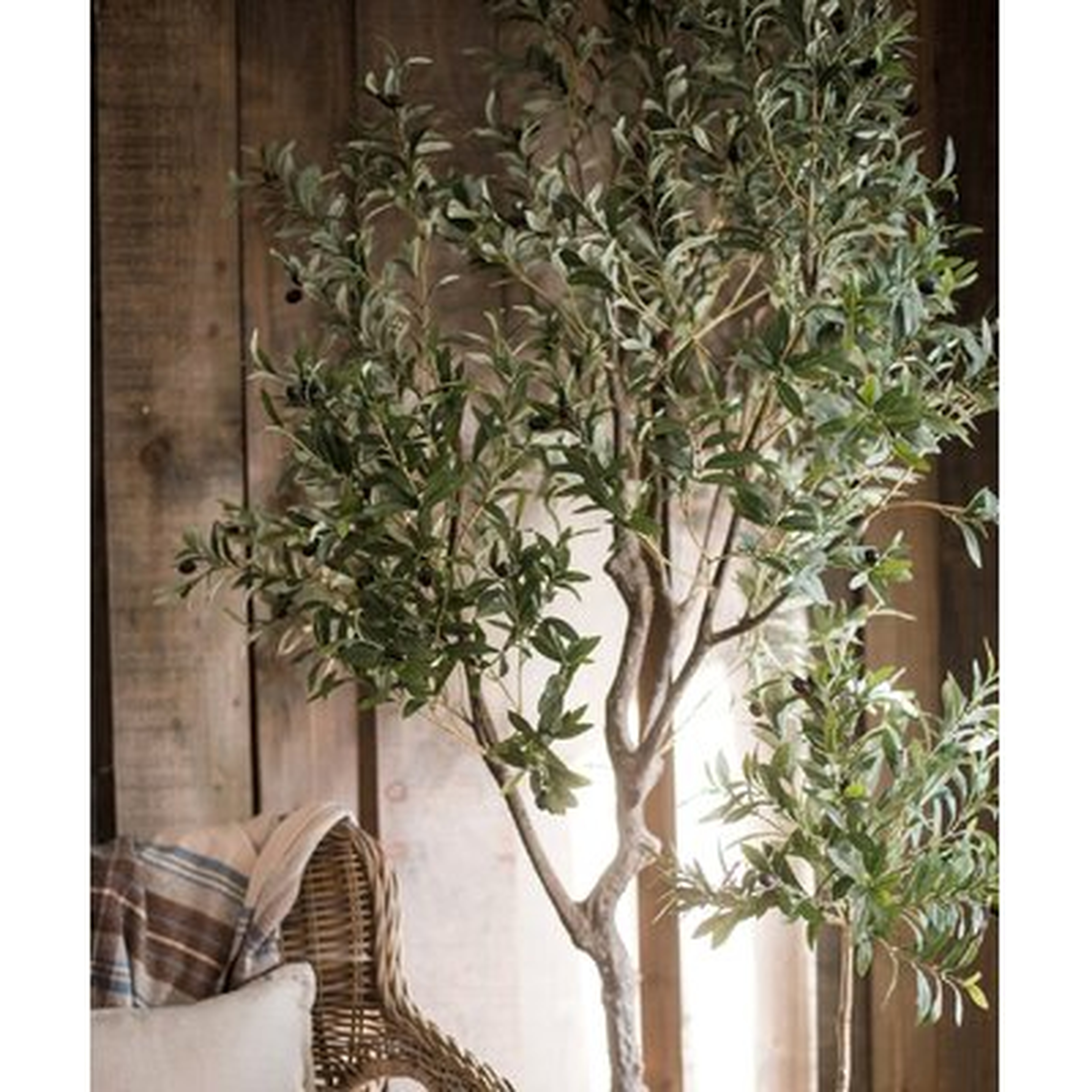 Large Artificial Olive Tree 94" Tall - Wayfair