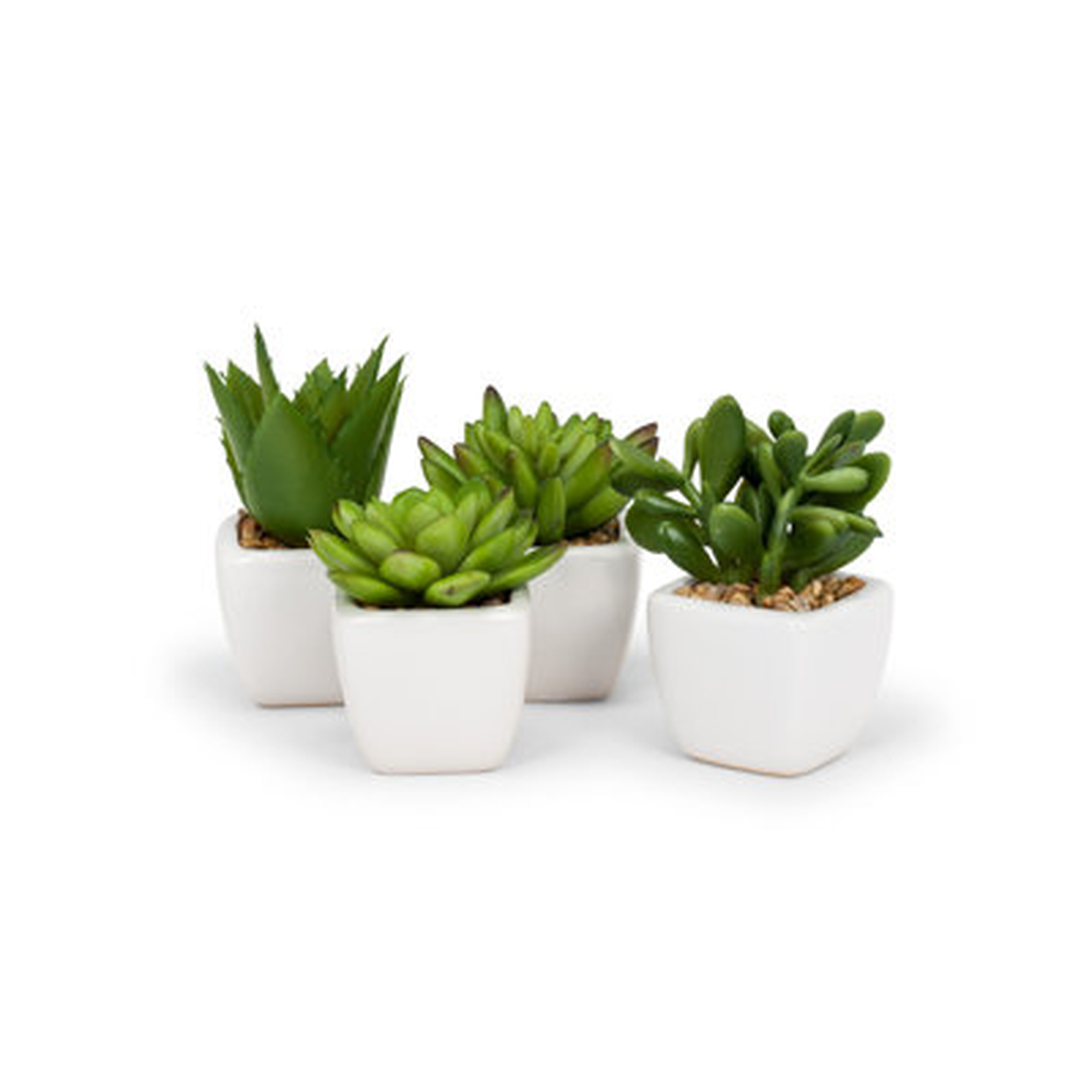Small Plant 4 Set - Wayfair