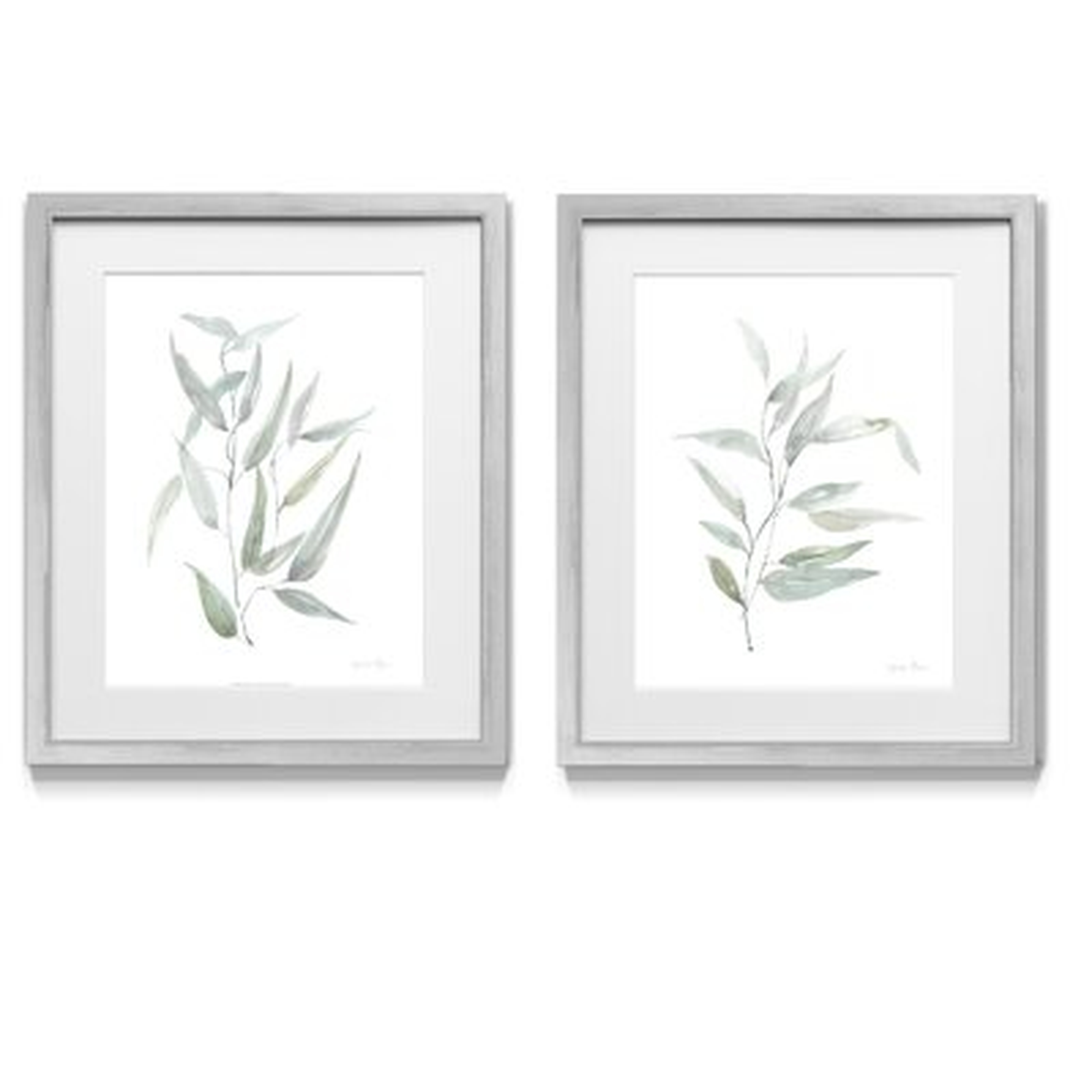 Ethereal Eucalyptus I, Picture Frame Graphic Art, Set of 2 - Wayfair