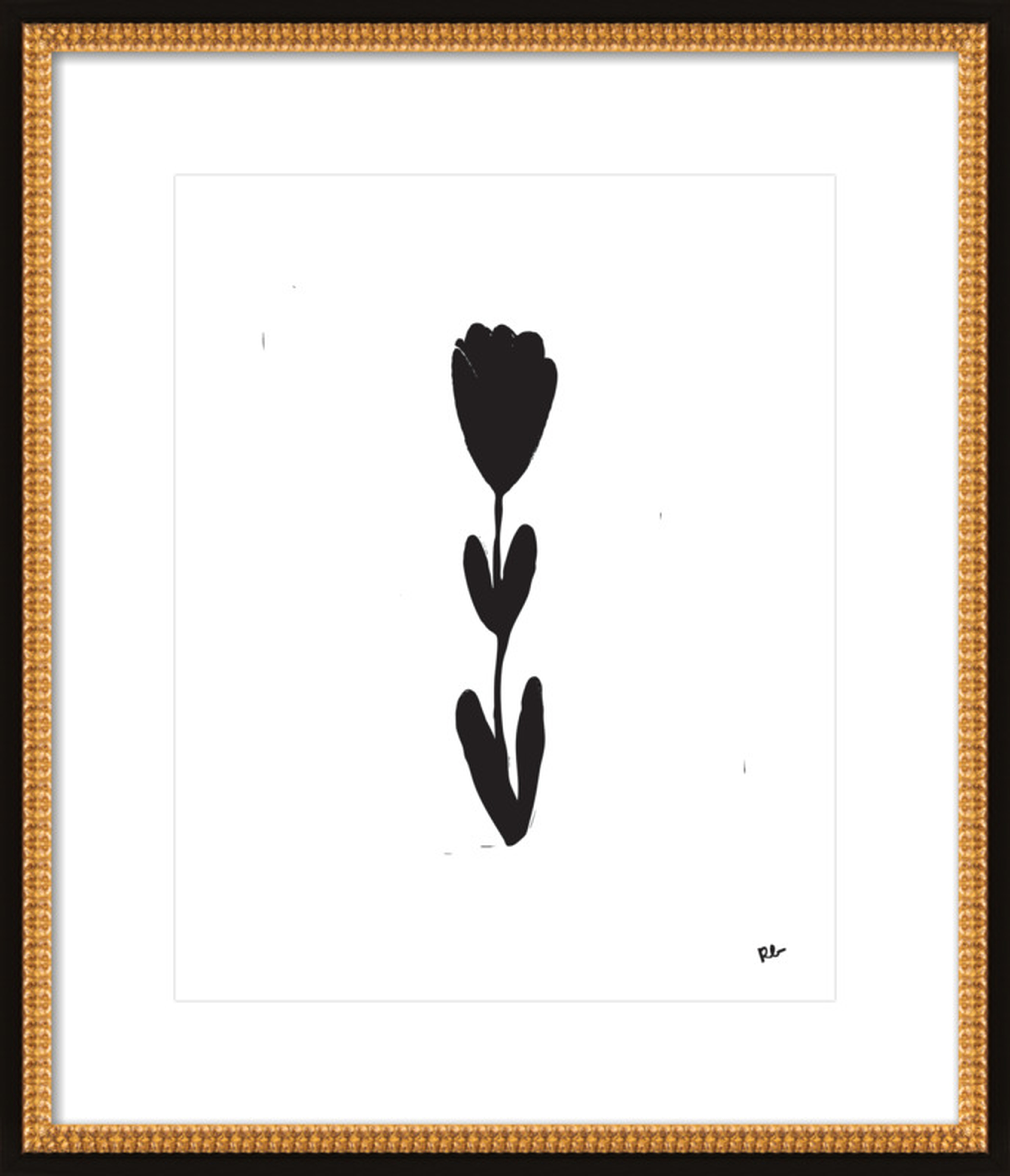 Tulip Stem by Rob Blackard for Artfully Walls - Artfully Walls