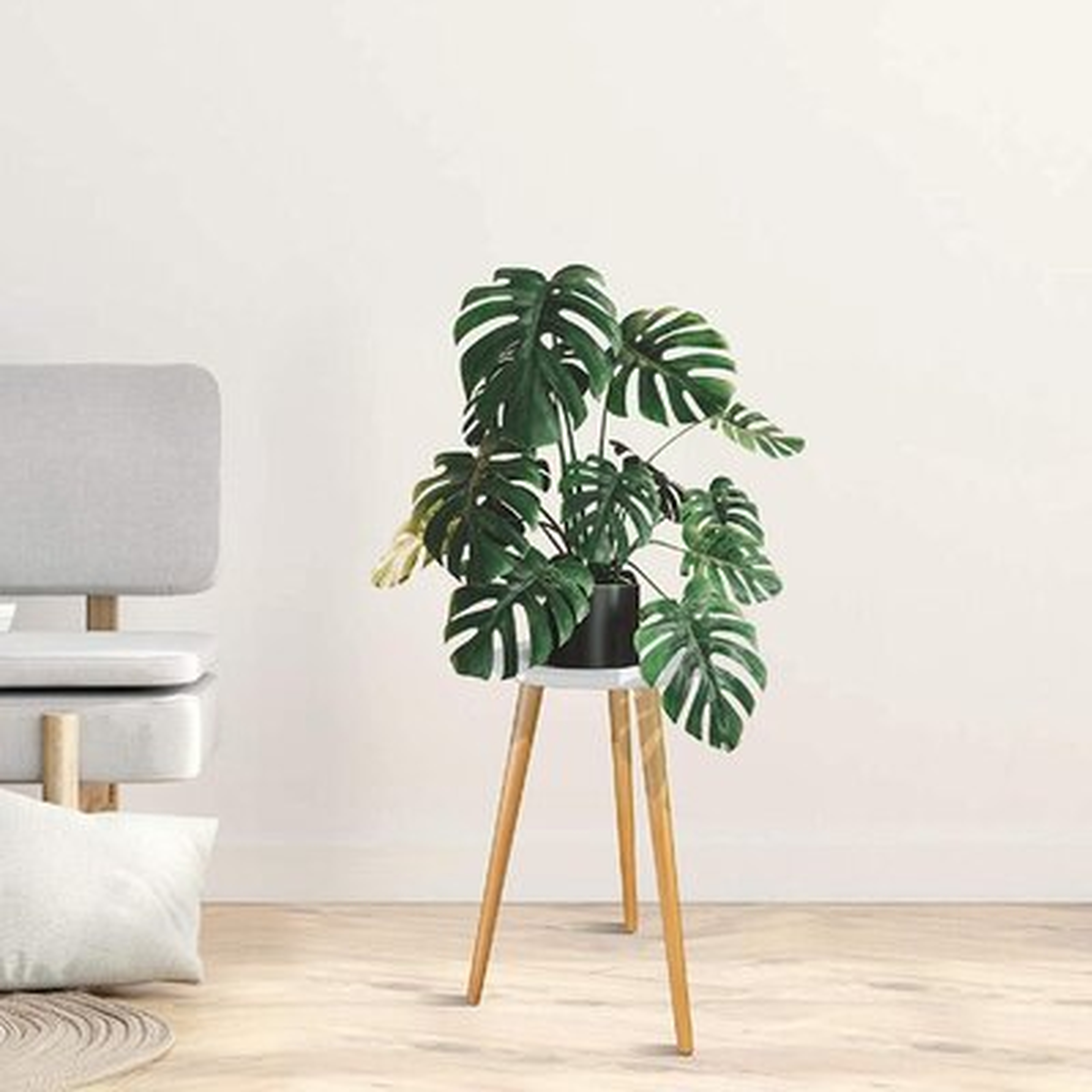 Indoor Plant Stand -  Wood Mid Century Plant Stand For Indoor Plants, Modern Plant Table, 20" Tall Plant Holder Stand For Flower Pots, Small Round Side Table, End Table - Wayfair