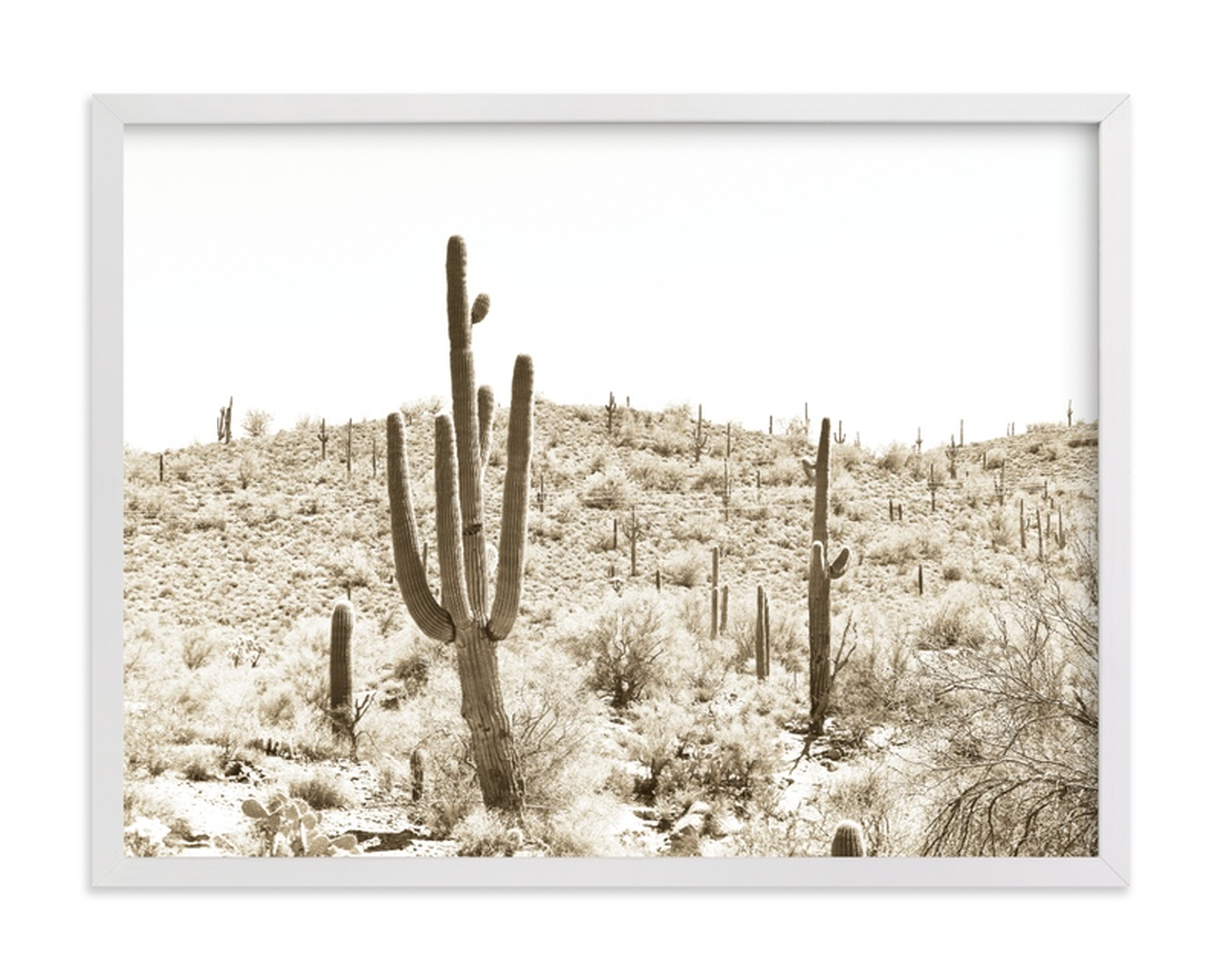 Dusty Cacti Limited Edition Fine Art Print - Minted